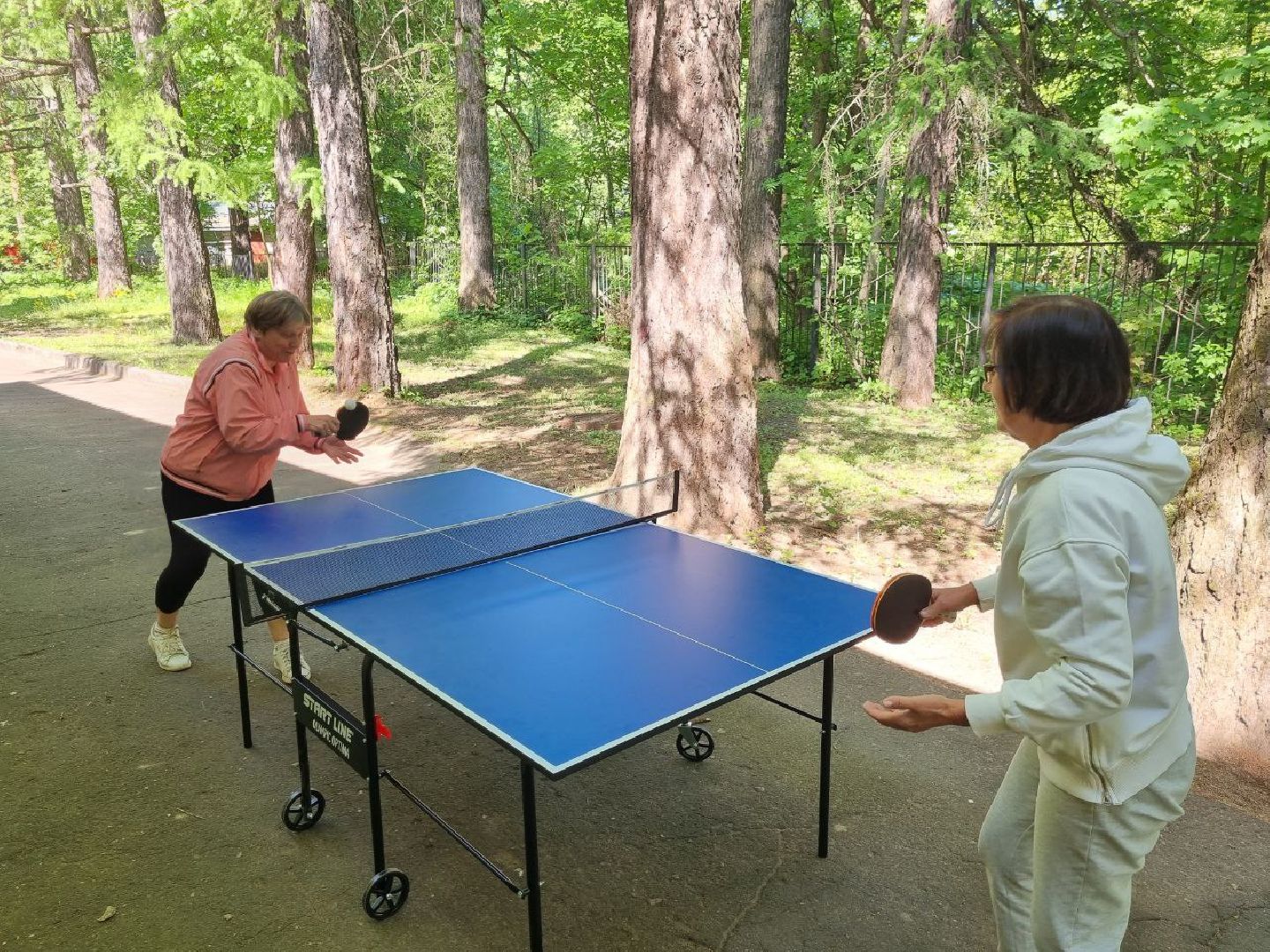 красноармейск, г.о. пушкинский, настольный теннис, активное долголетие,