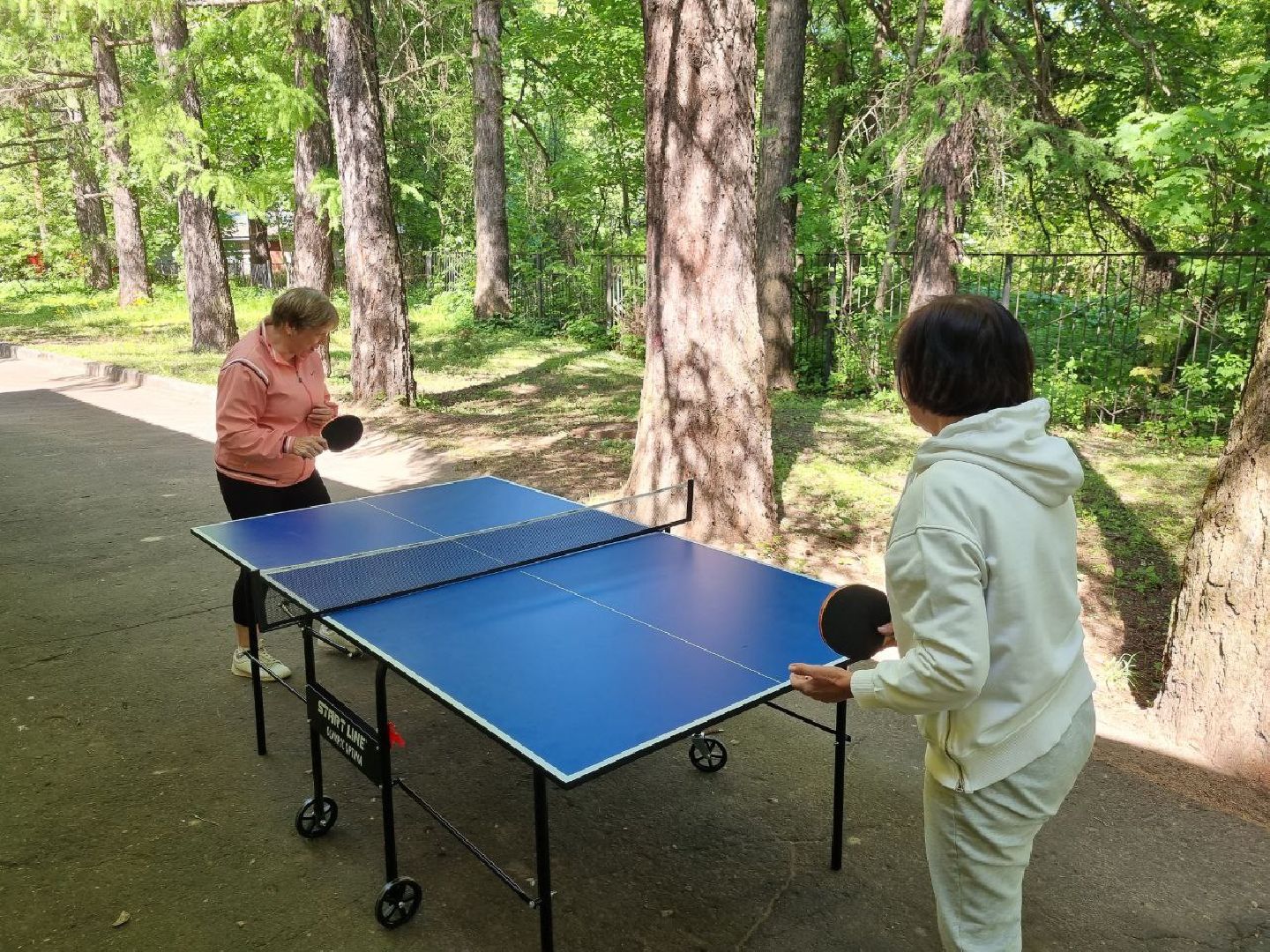 красноармейск, г.о. пушкинский, настольный теннис, активное долголетие,
