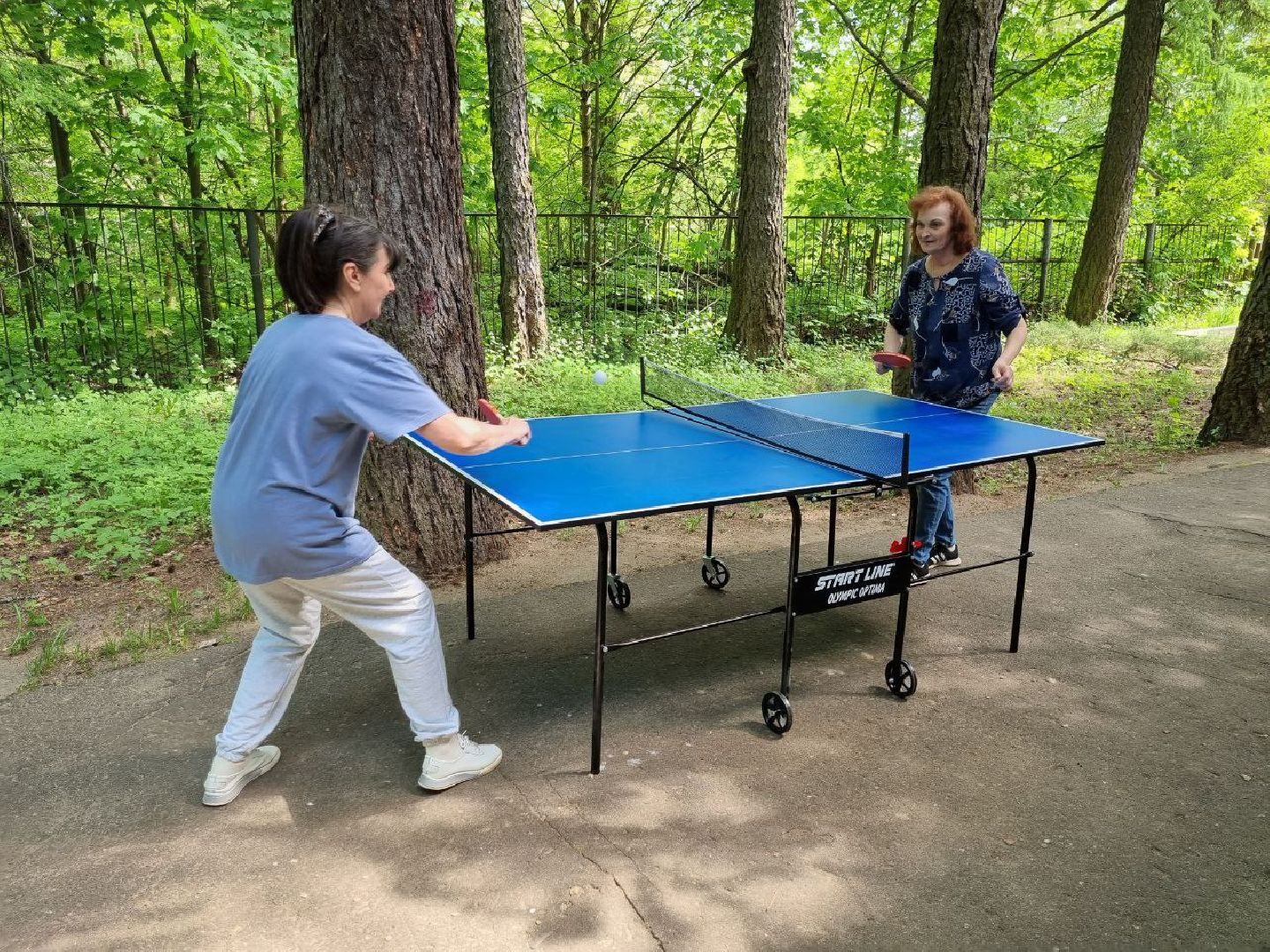 красноармейск, г.о. пушкинский, настольный теннис, активное долголетие,