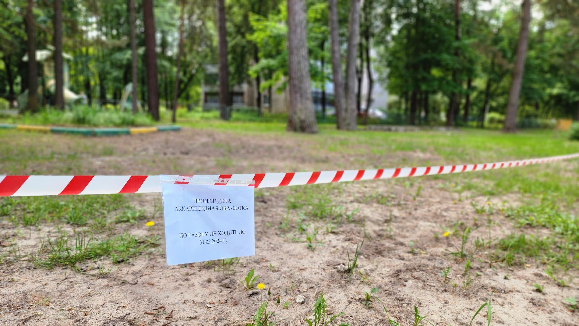 протвино, дюц горизонт, каникулы, лето, дети,