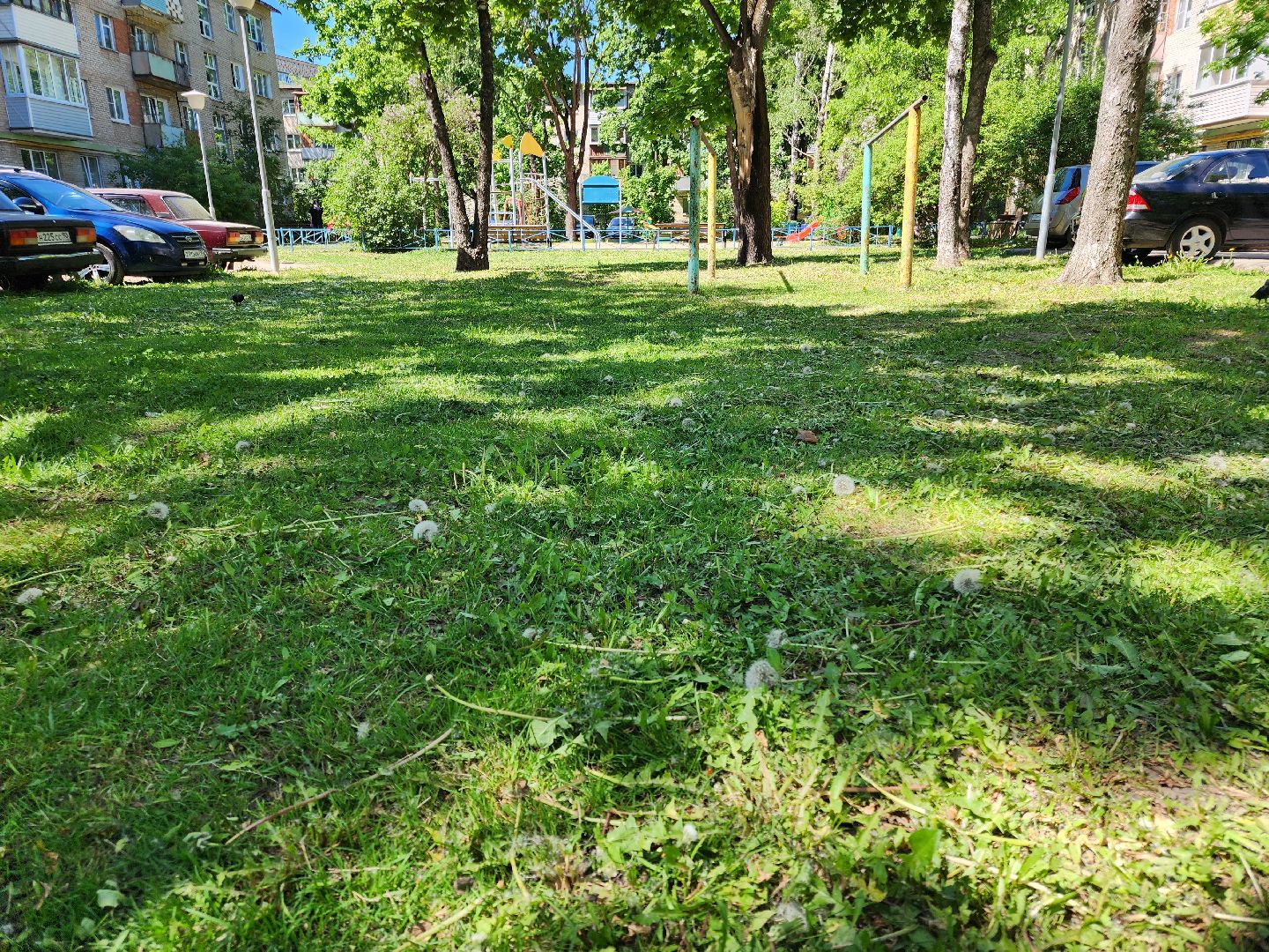 Черноголовка, покос травы,