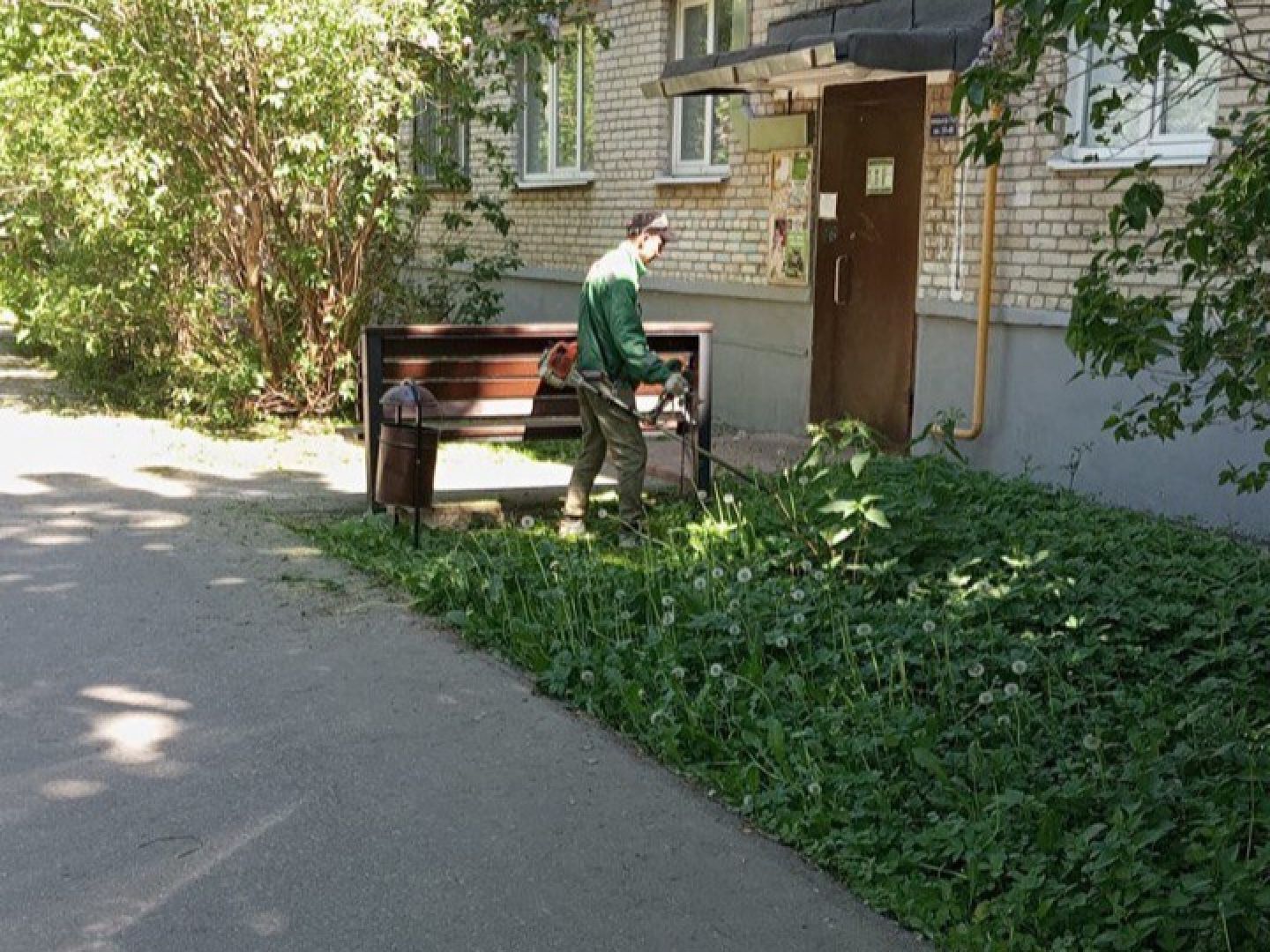 Черноголовка, покос травы,