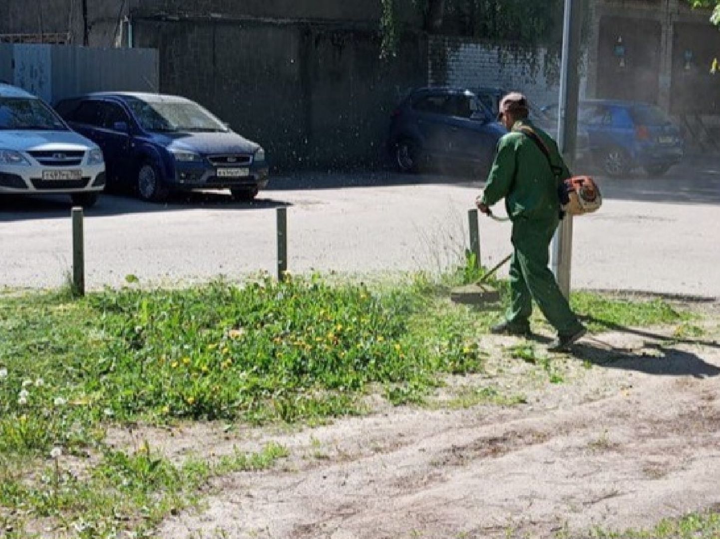 Черноголовка, покос травы,