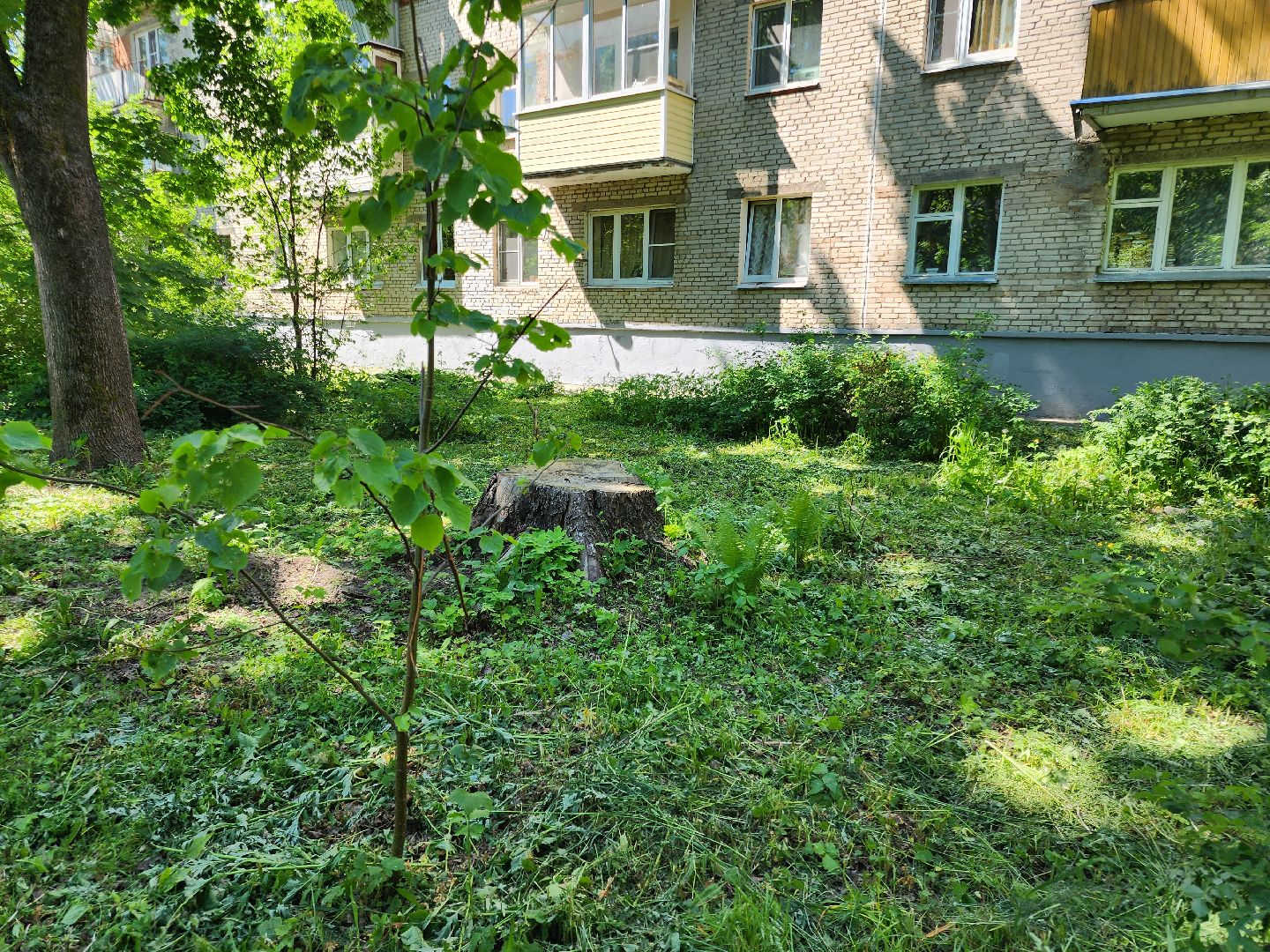 Черноголовка, покос травы,