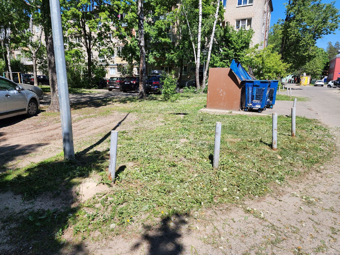 Черноголовка, покос травы,