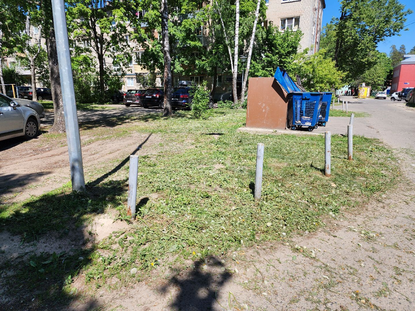 Черноголовка, покос травы,