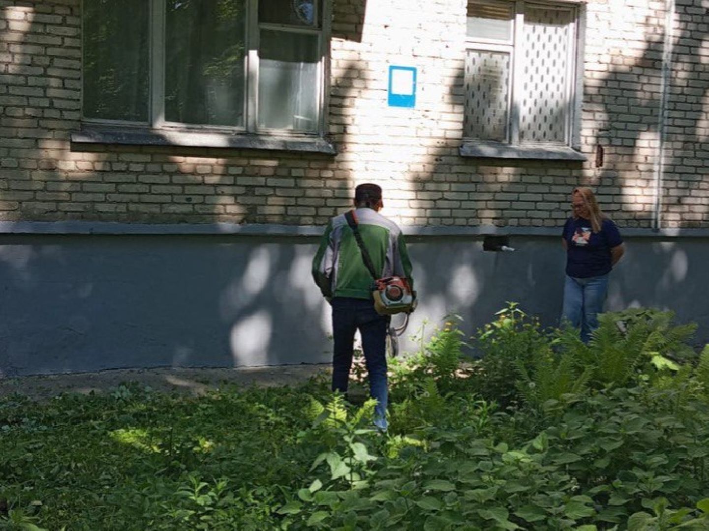 Черноголовка, покос травы,