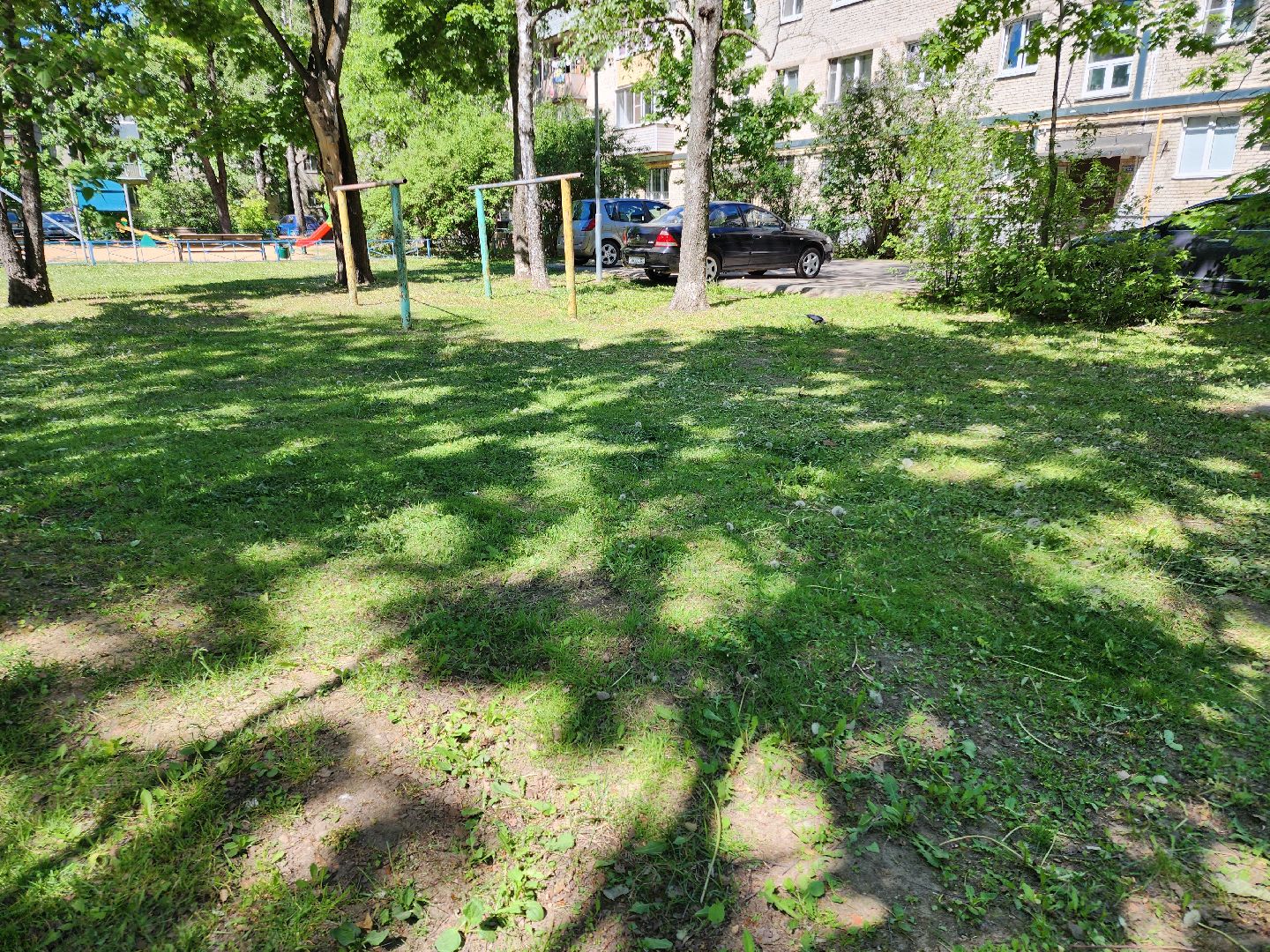 Черноголовка, покос травы,