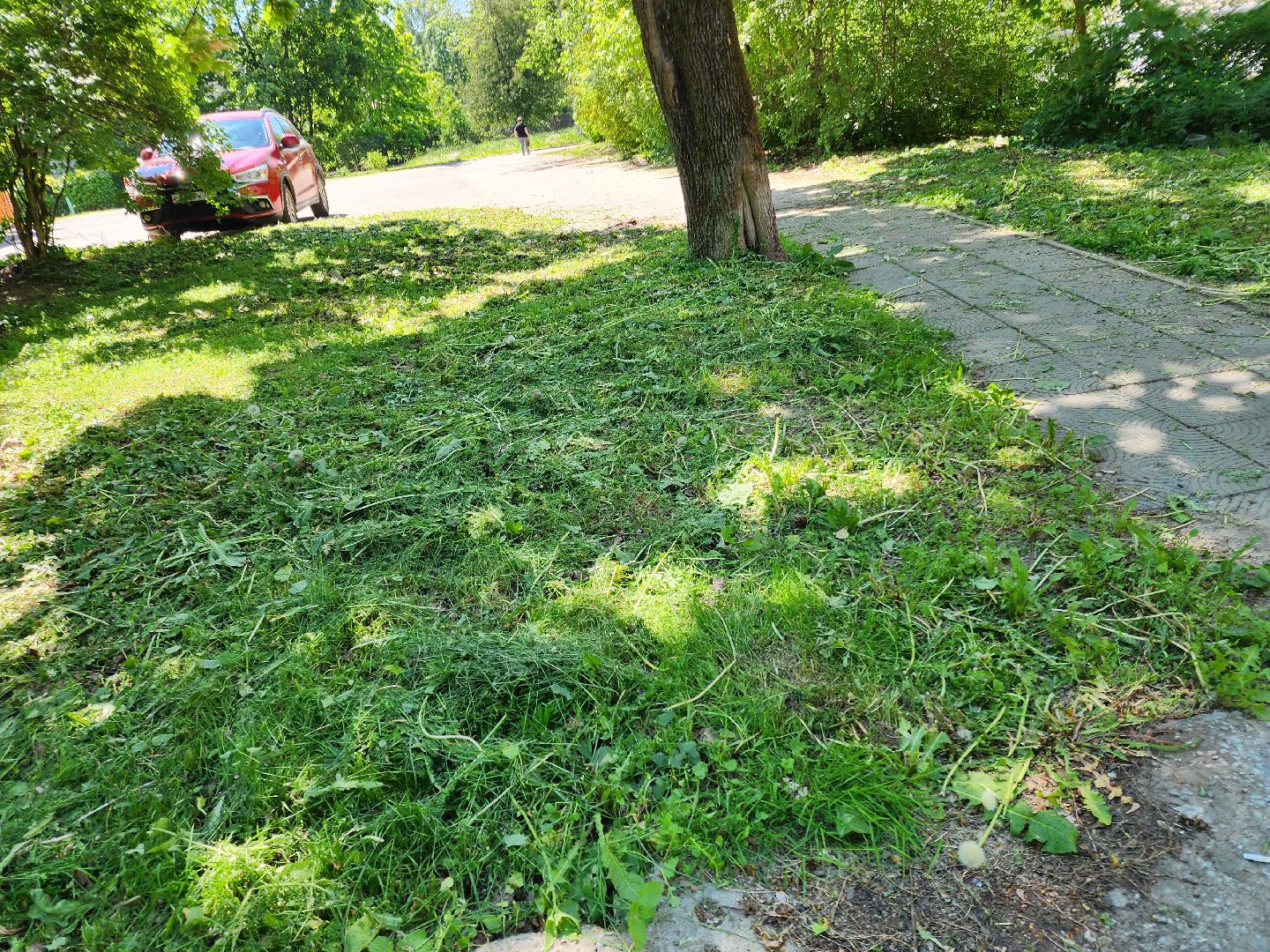 Черноголовка, покос травы,