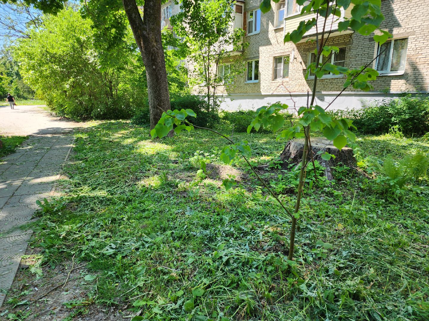 Черноголовка, покос травы,