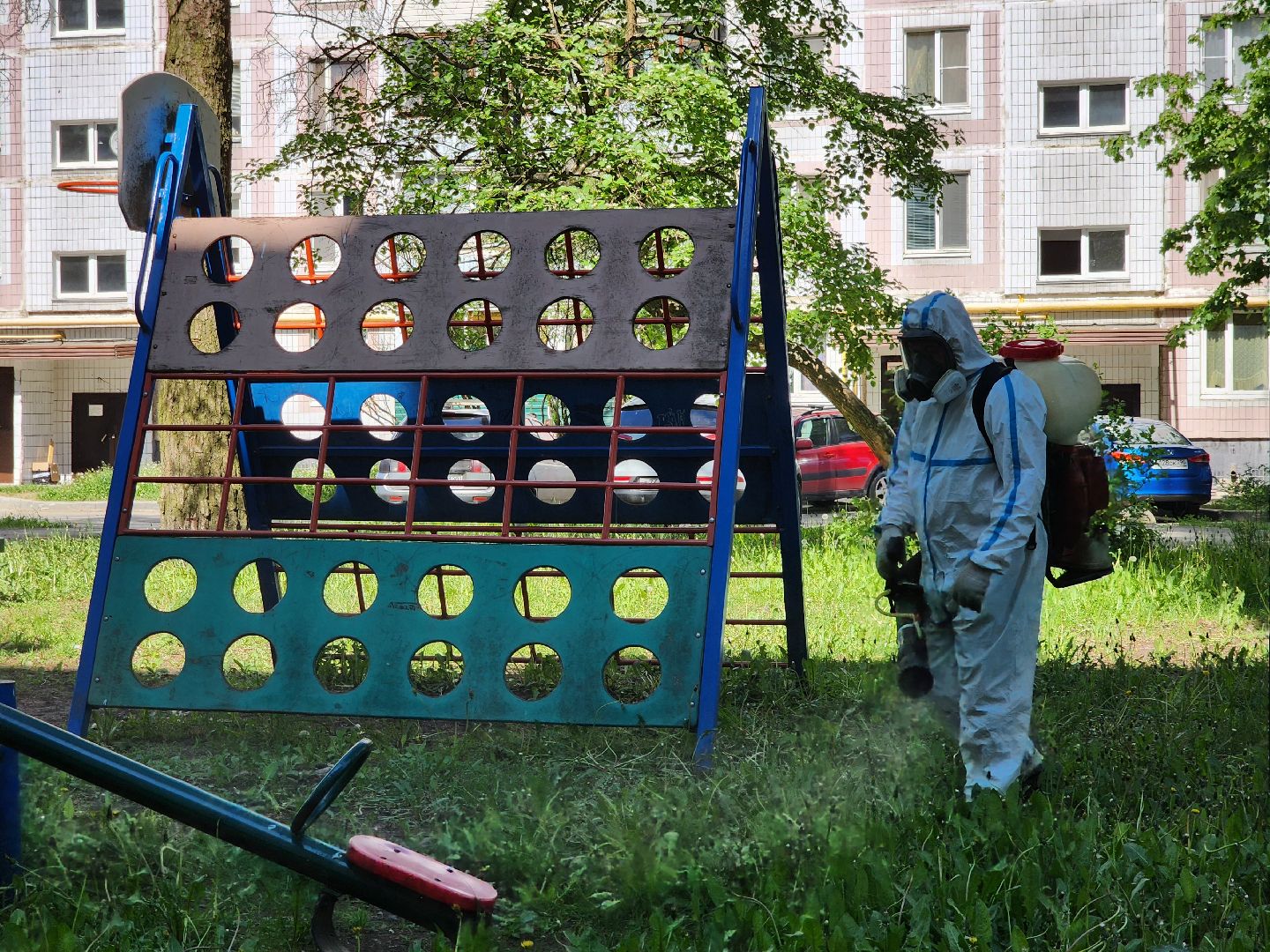 Черноголовка, клещи,