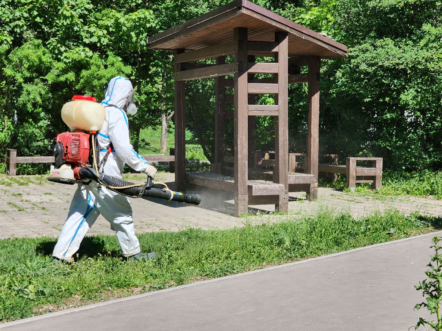 Черноголовка, клещи,