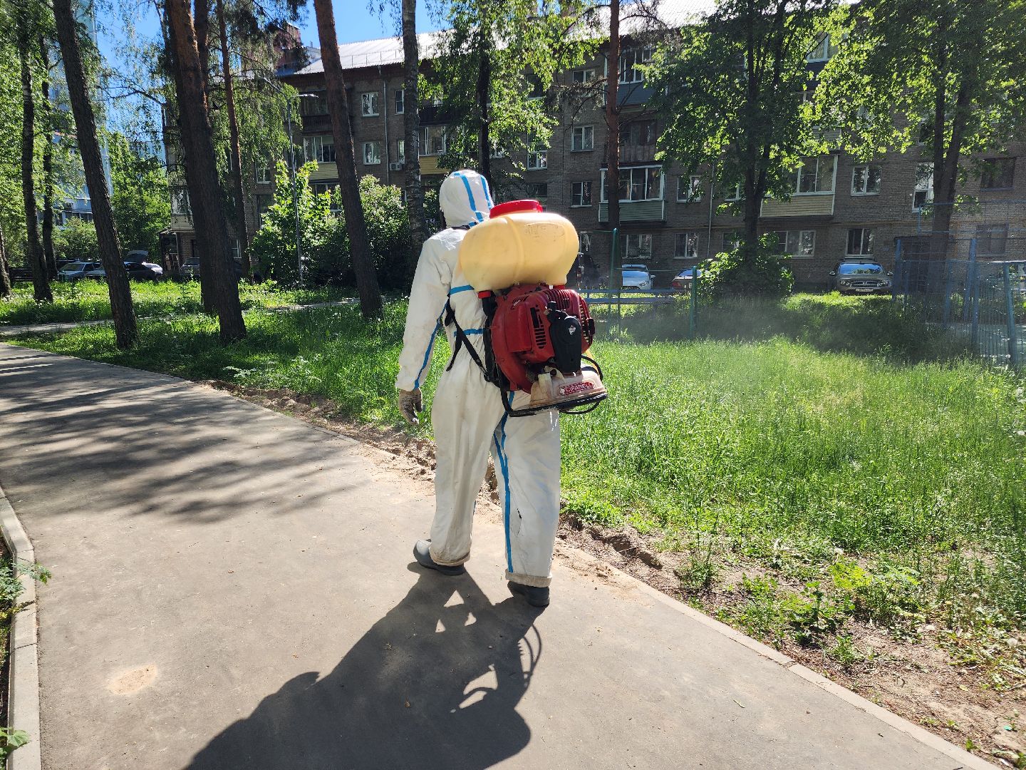 Черноголовка, клещи,