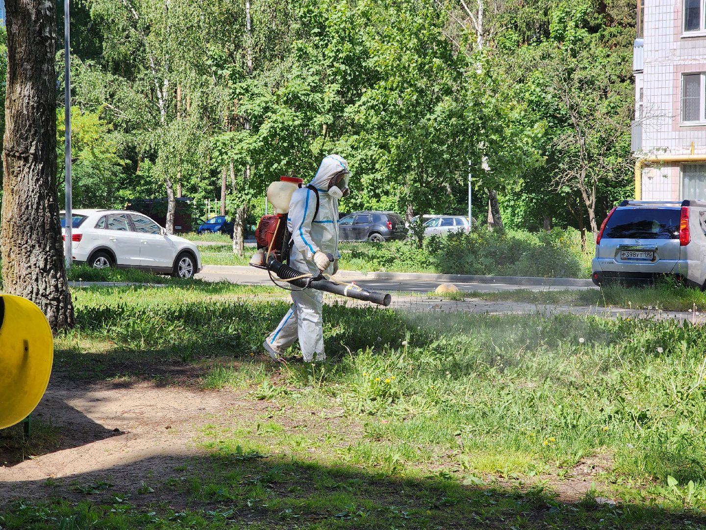 Черноголовка, клещи,