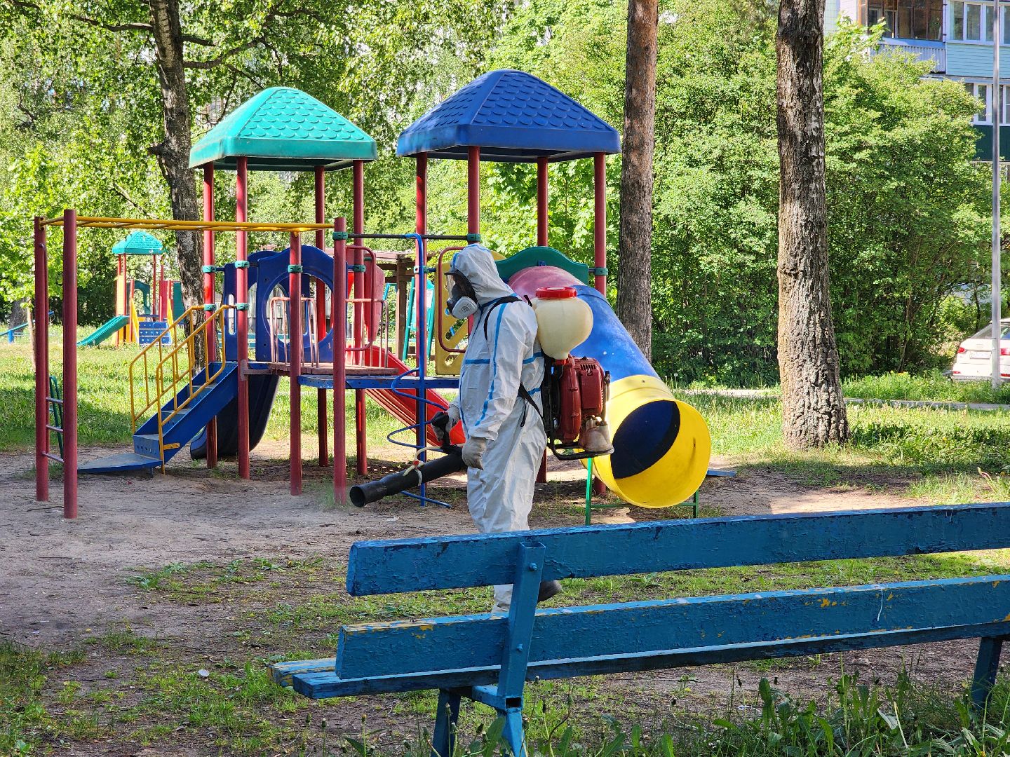 Черноголовка, клещи,