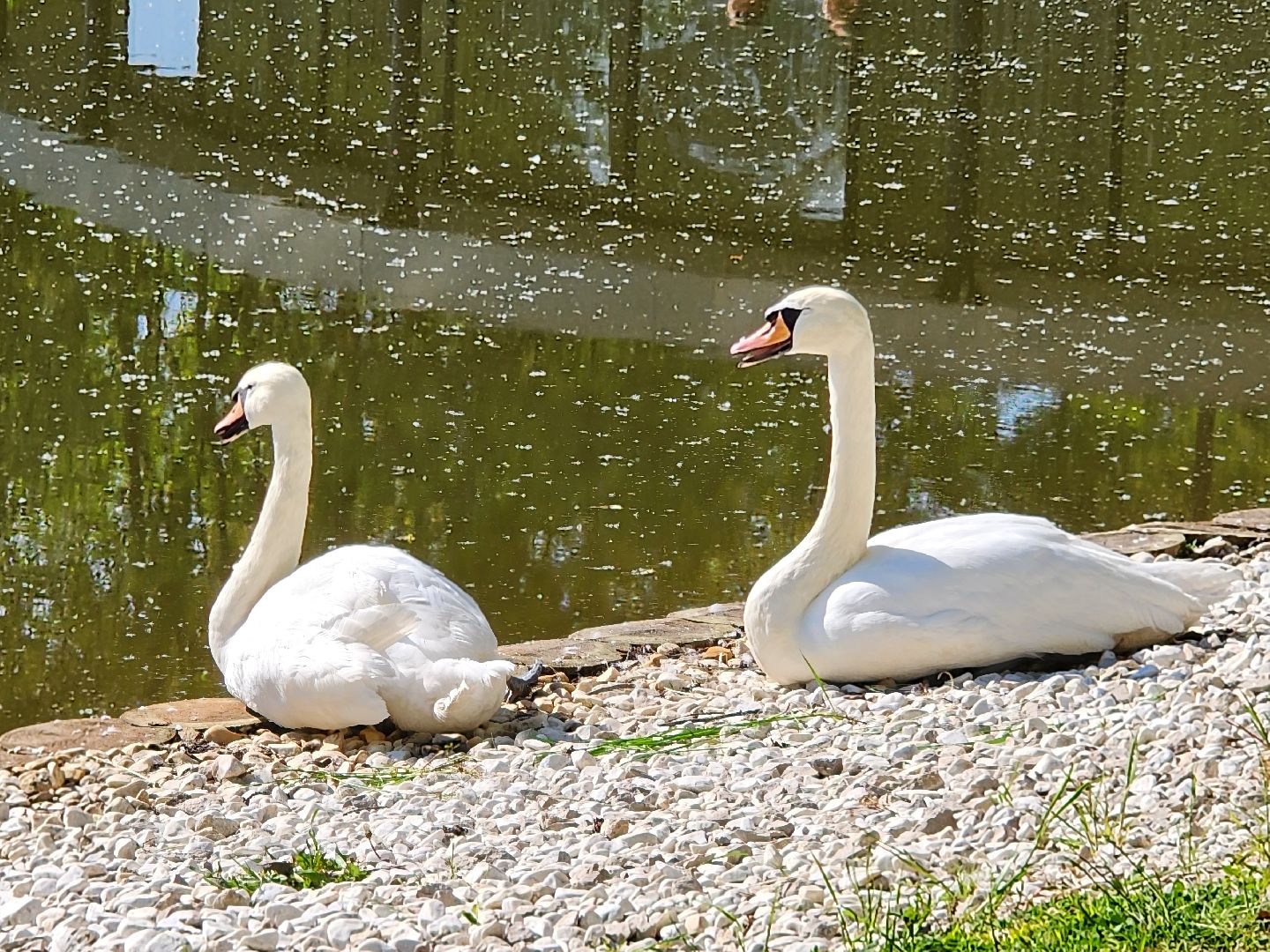 серпухов, подмосковье, кафе с верандой, парки Подмосковья, трдельник,