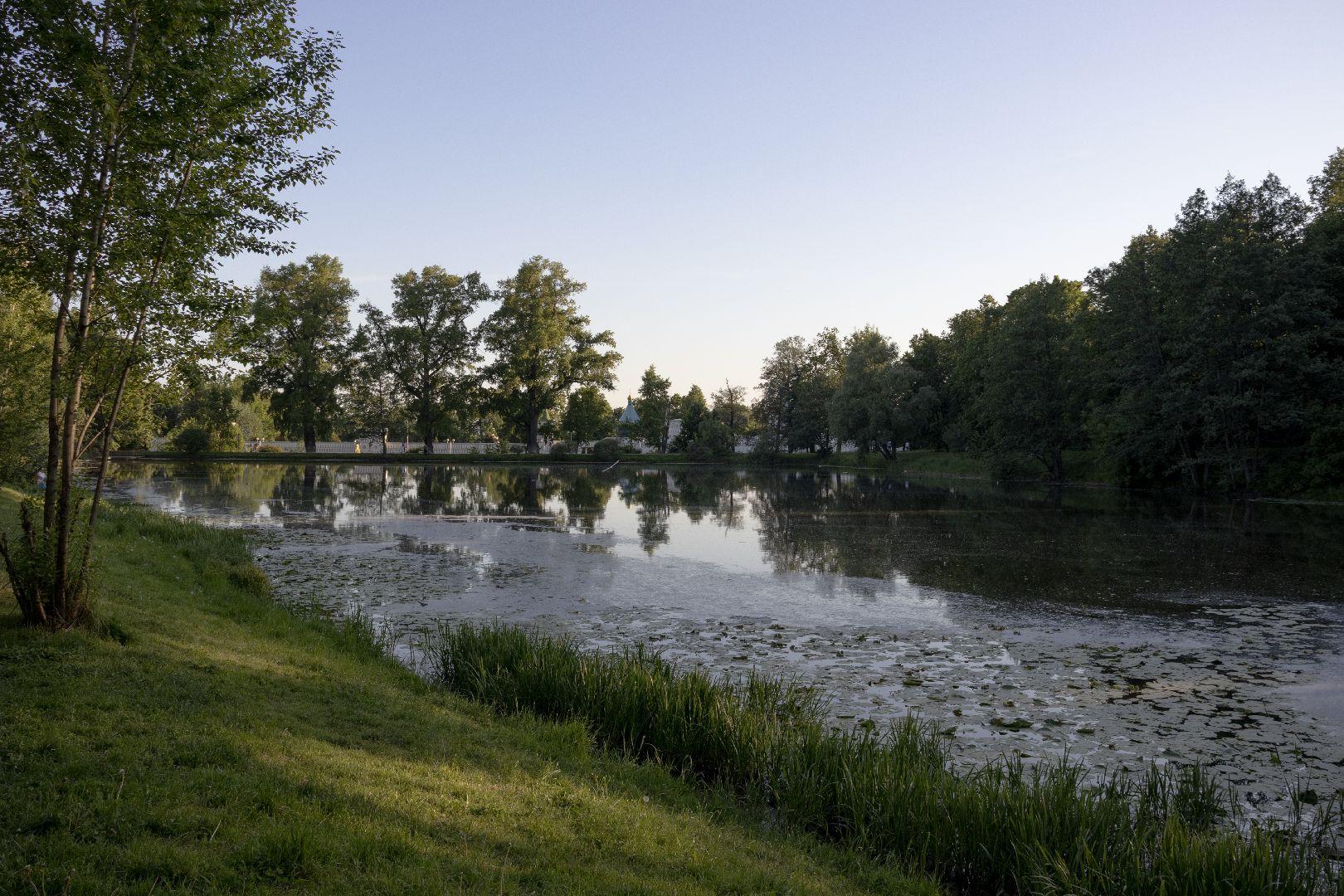 дзержинский, кряква, утки, экология, верхний пруд,