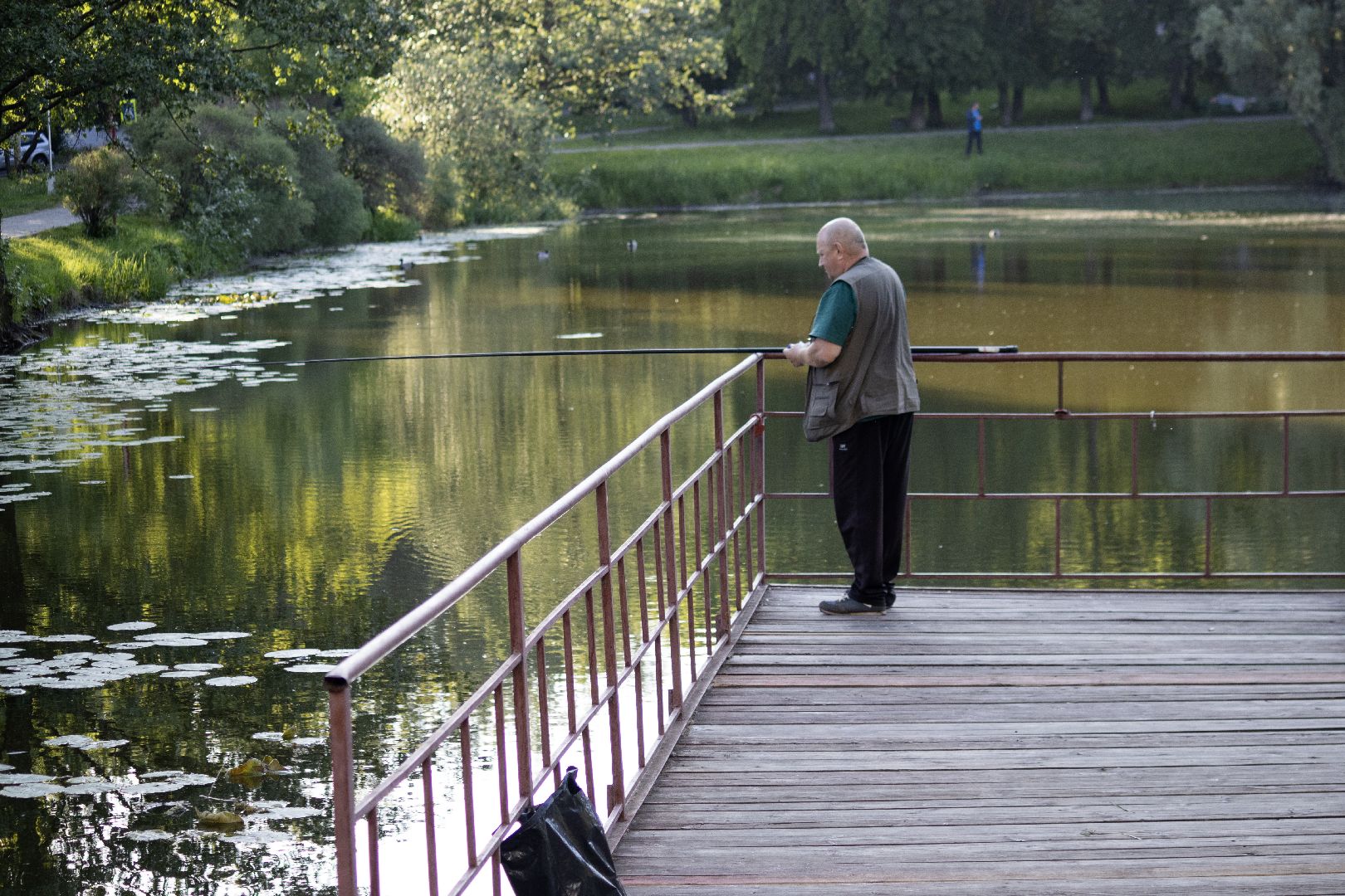 дзержинский, кряква, утки, экология, верхний пруд,
