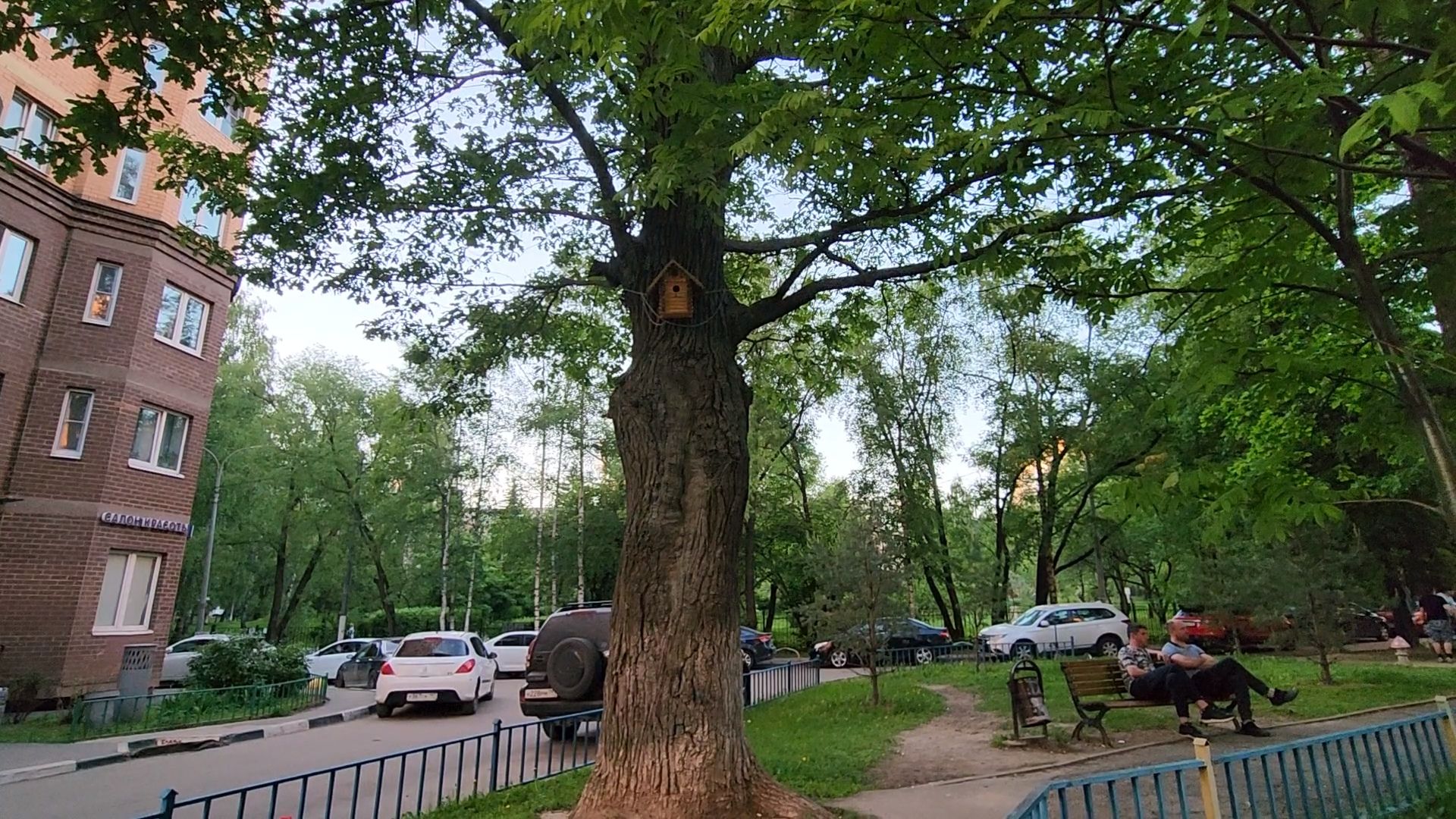 Одинцово, олбщество, пруд, двор, благоустройство, славкин пруд,