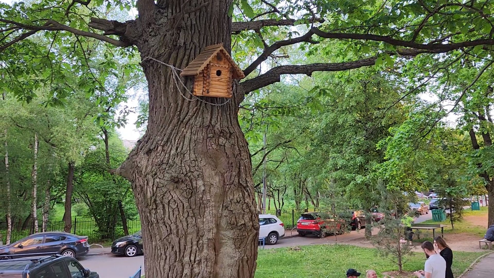 Одинцово, олбщество, пруд, двор, благоустройство, славкин пруд,
