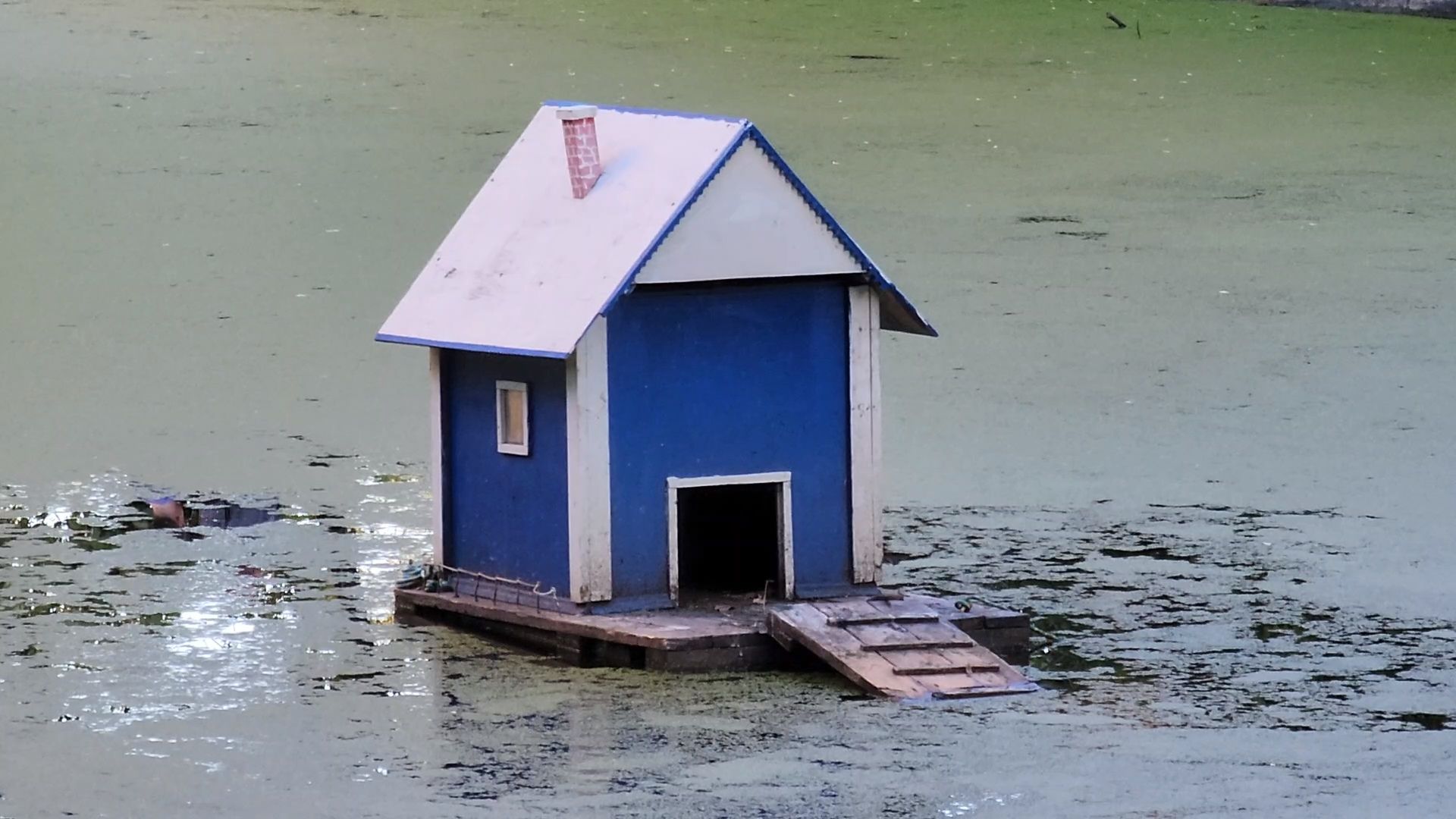 Одинцово, олбщество, пруд, двор, благоустройство, славкин пруд,