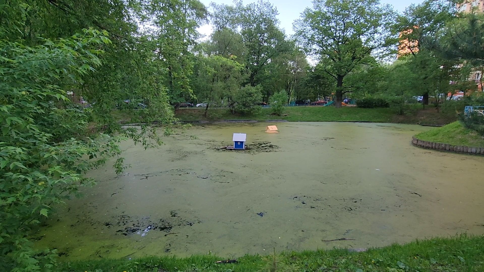 Одинцово, олбщество, пруд, двор, благоустройство, славкин пруд,