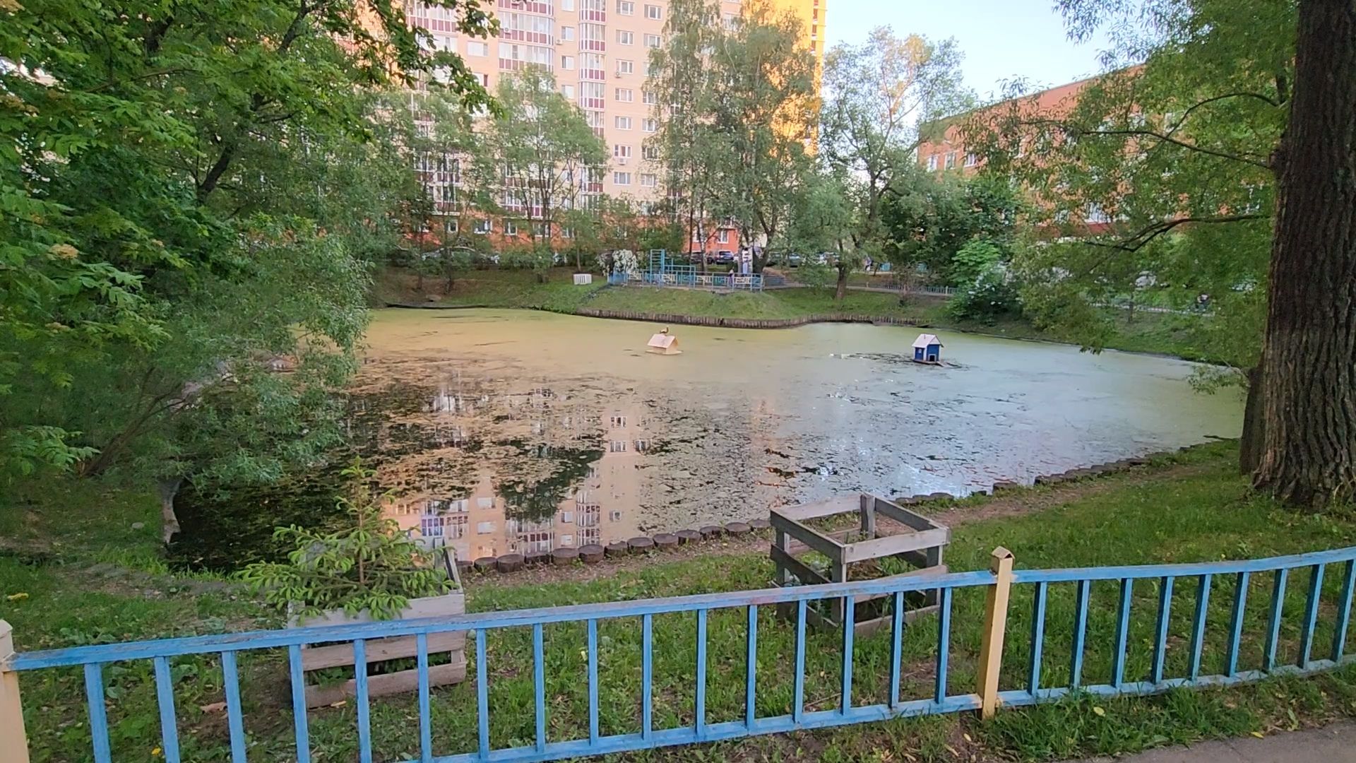 Одинцово, олбщество, пруд, двор, благоустройство, славкин пруд,