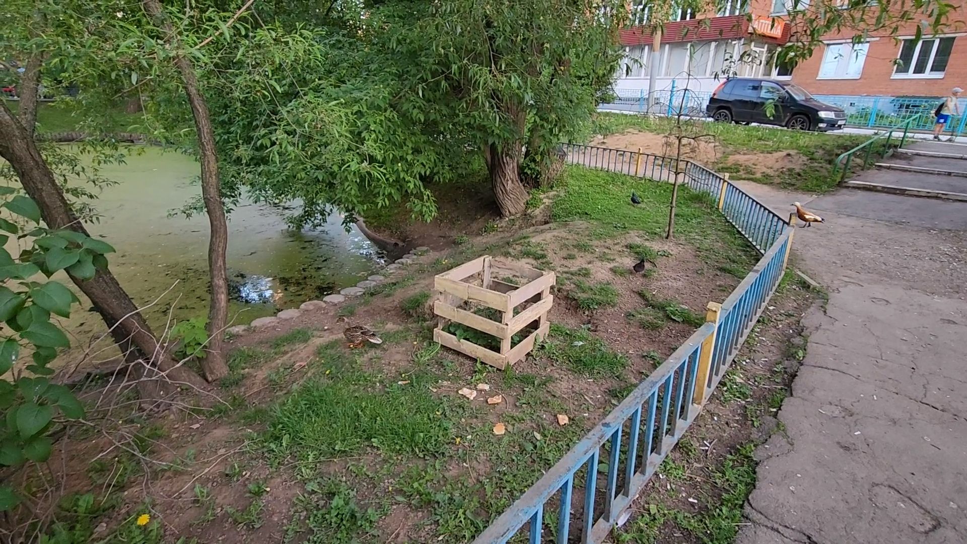 Одинцово, олбщество, пруд, двор, благоустройство, славкин пруд,