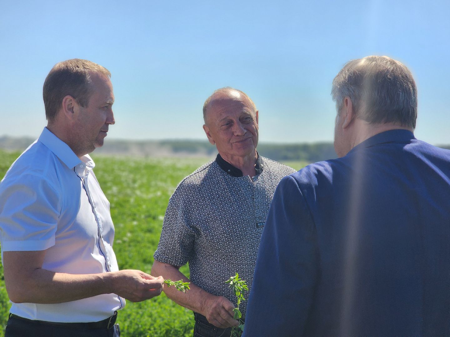 воскресенск, сельское хозяйство, посевная кампания,