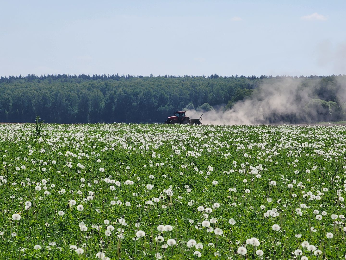 воскресенск, сельское хозяйство, посевная кампания,