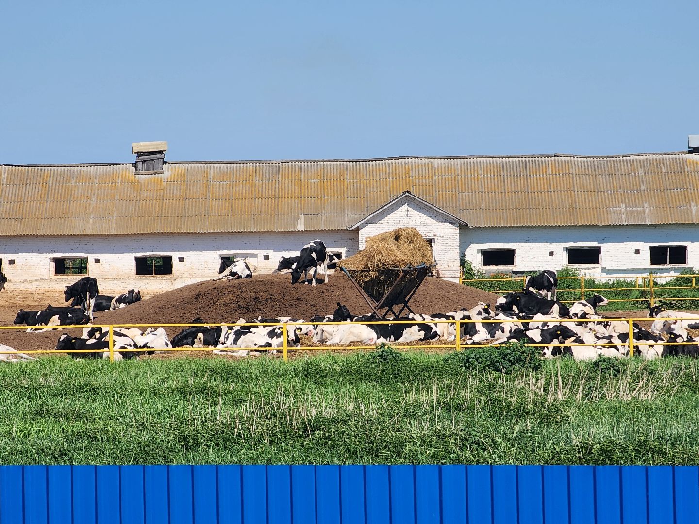 воскресенск, сельское хозяйство, посевная кампания,