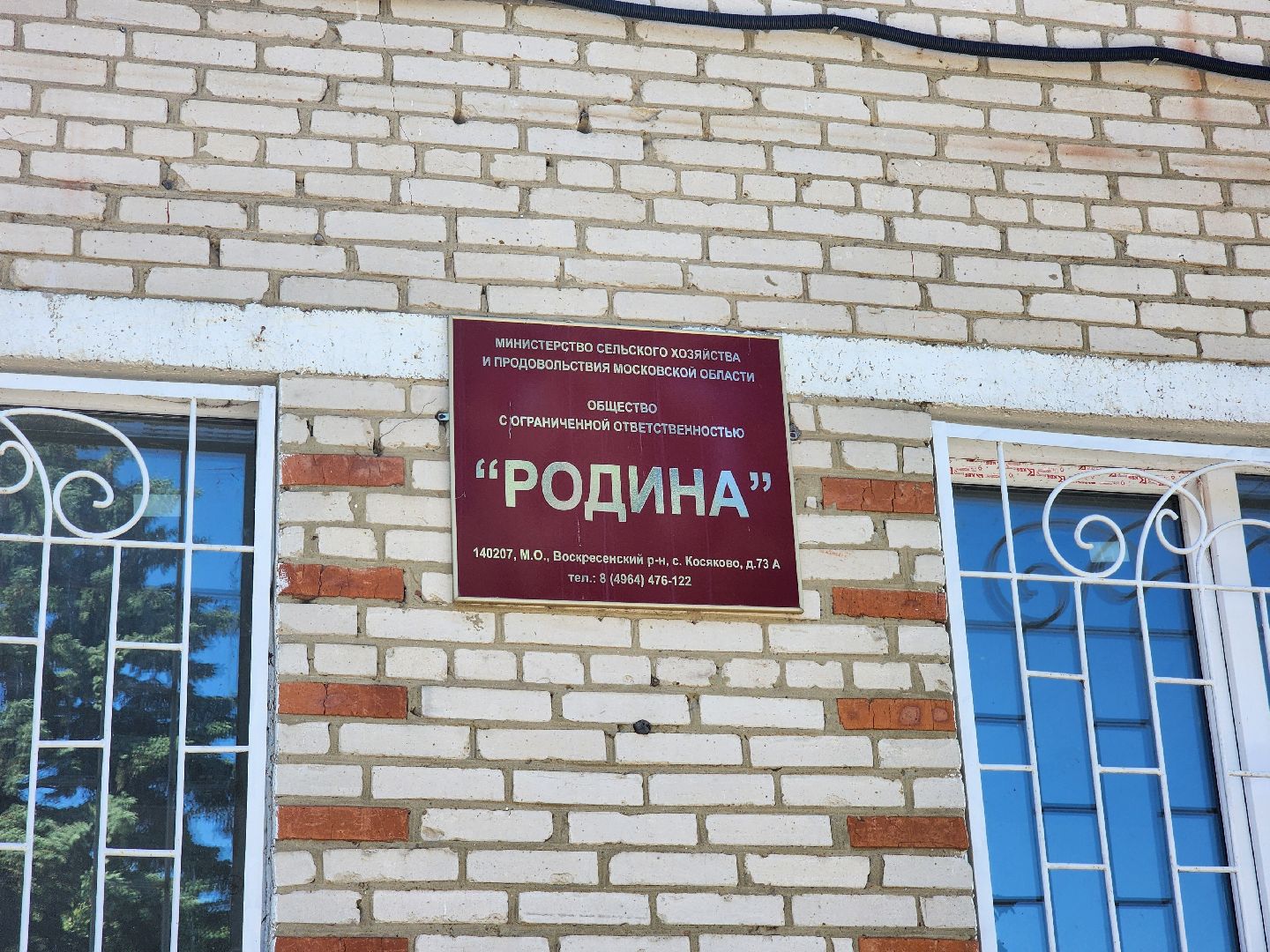 воскресенск, сельское хозяйство, посевная кампания,