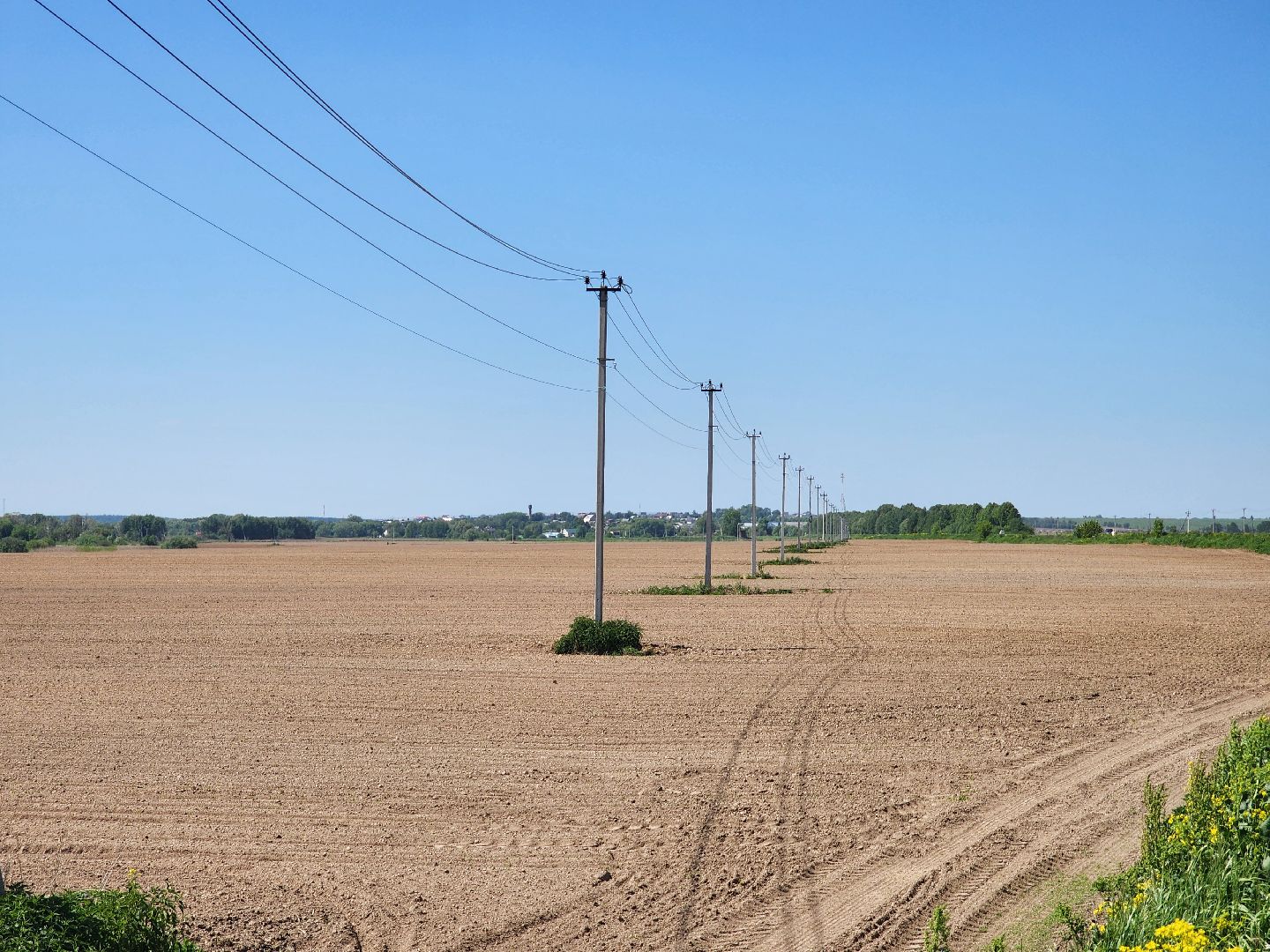 воскресенск, сельское хозяйство, посевная кампания,