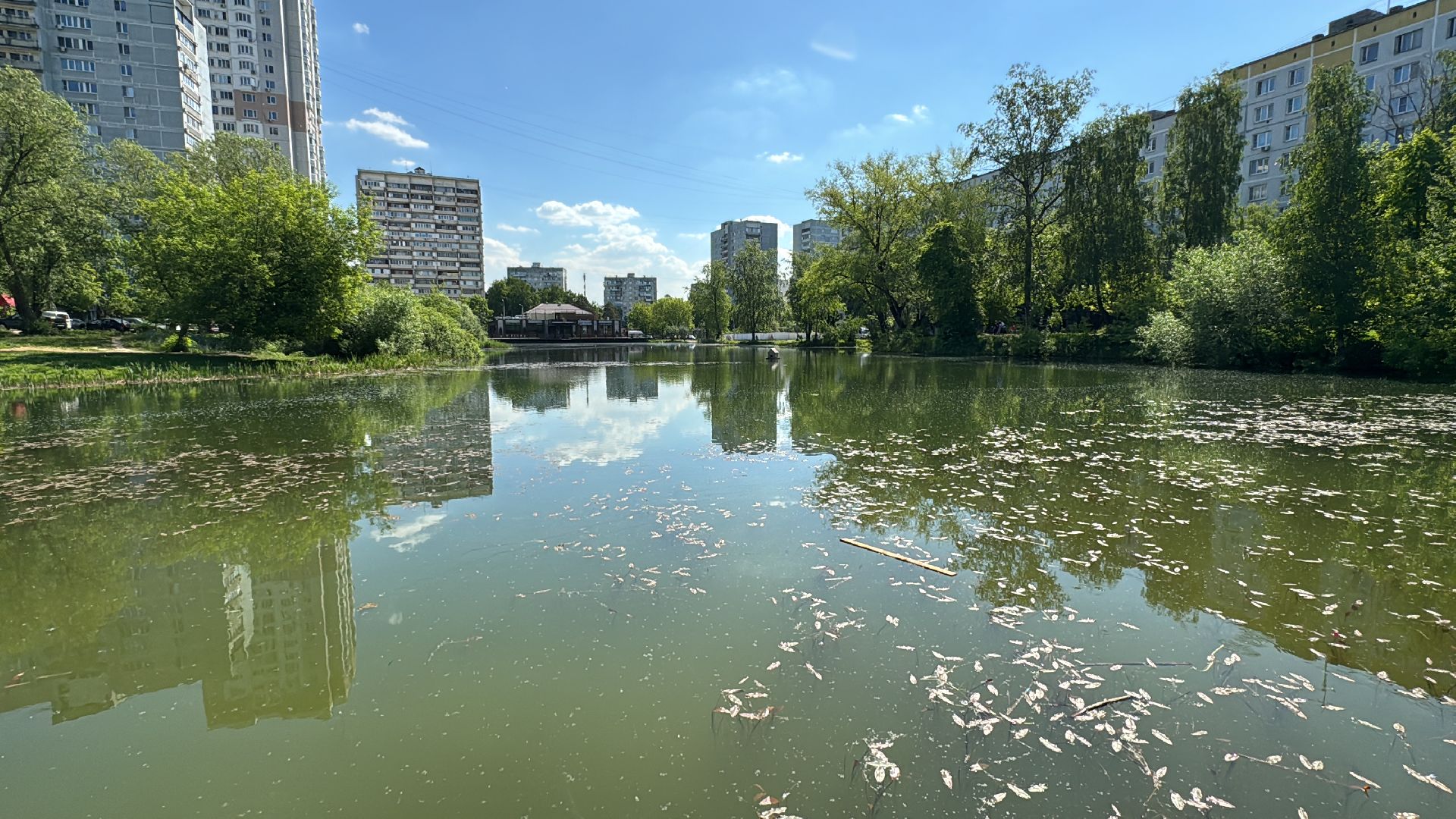 Одинцово, Комсомольский пруд, Благоустройство пруда,