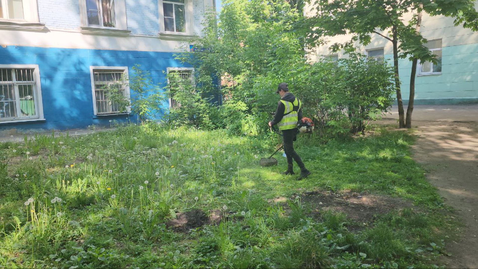 люберцы, управляющая компания, покос травы,