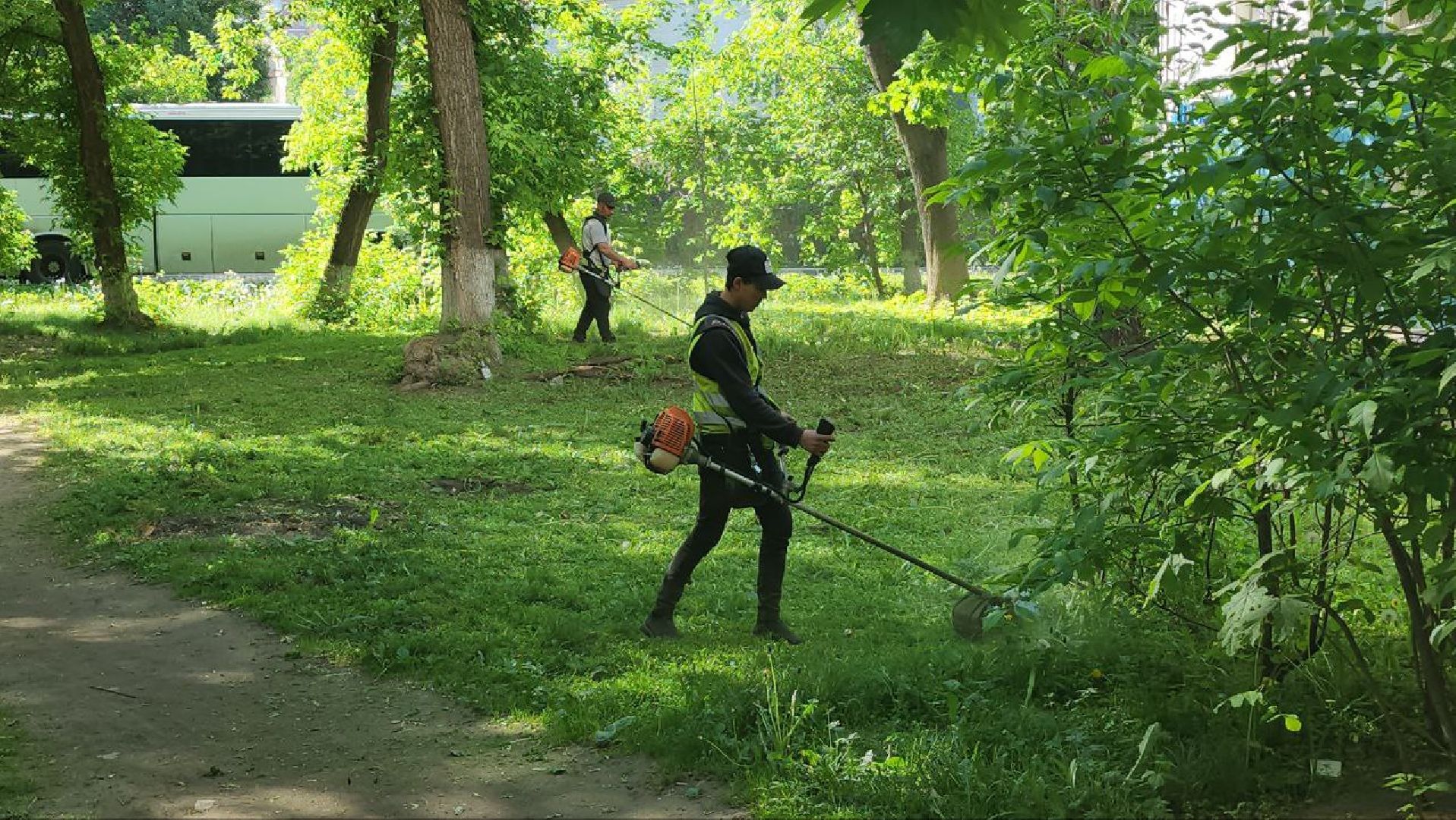 люберцы, управляющая компания, покос травы,