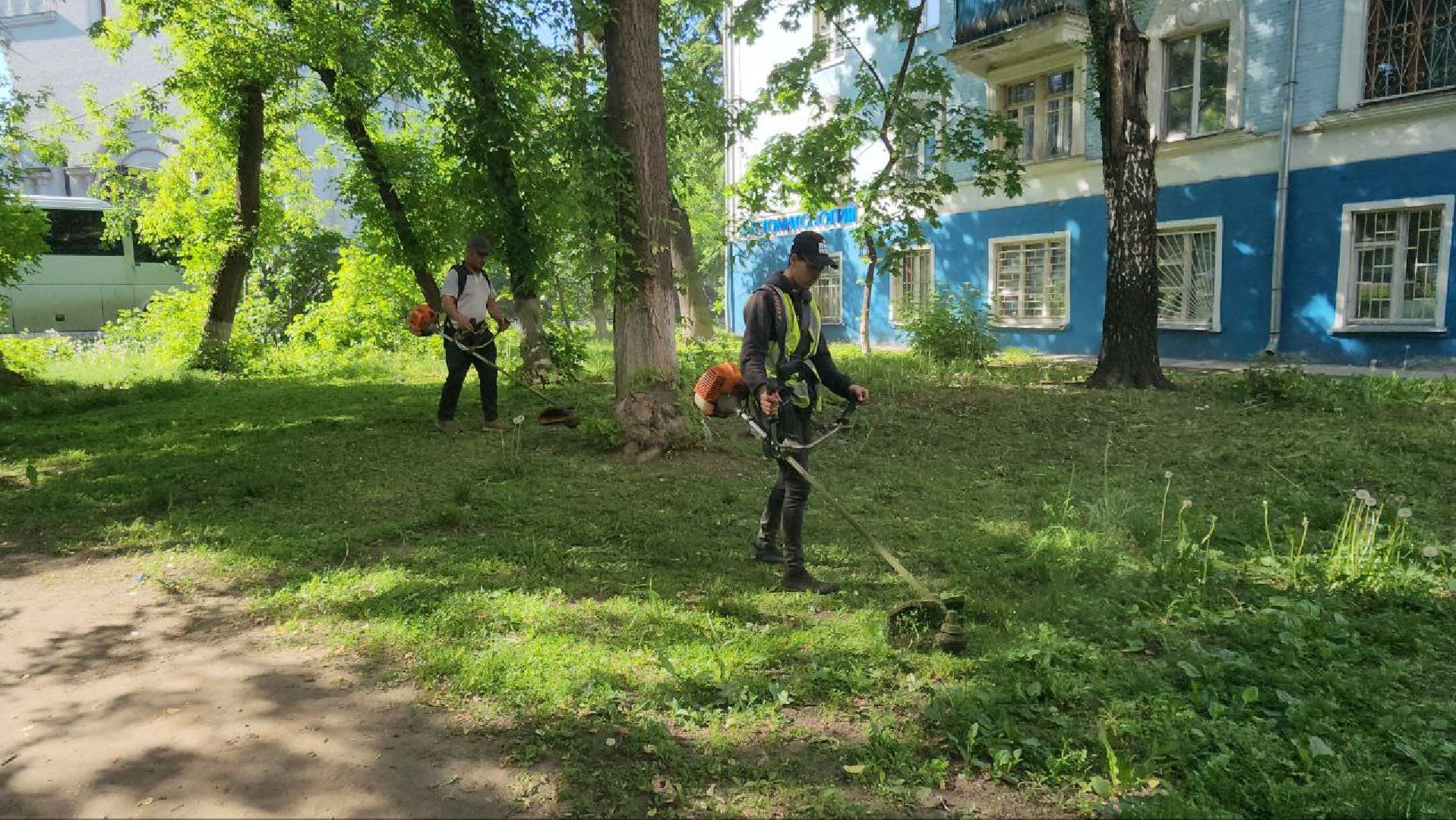 люберцы, управляющая компания, покос травы,