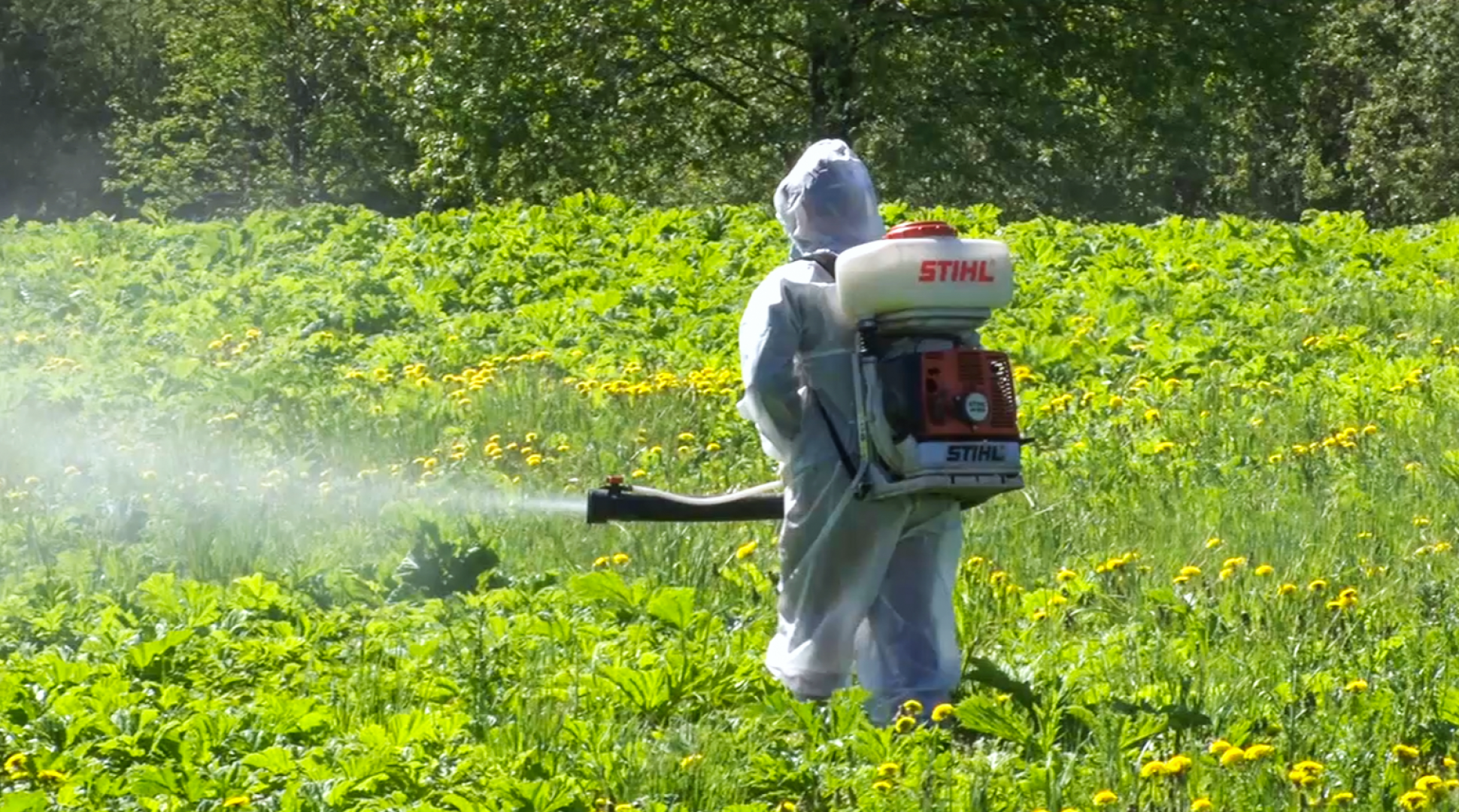 Клин, общество, экономика, борьба с борщевиком,