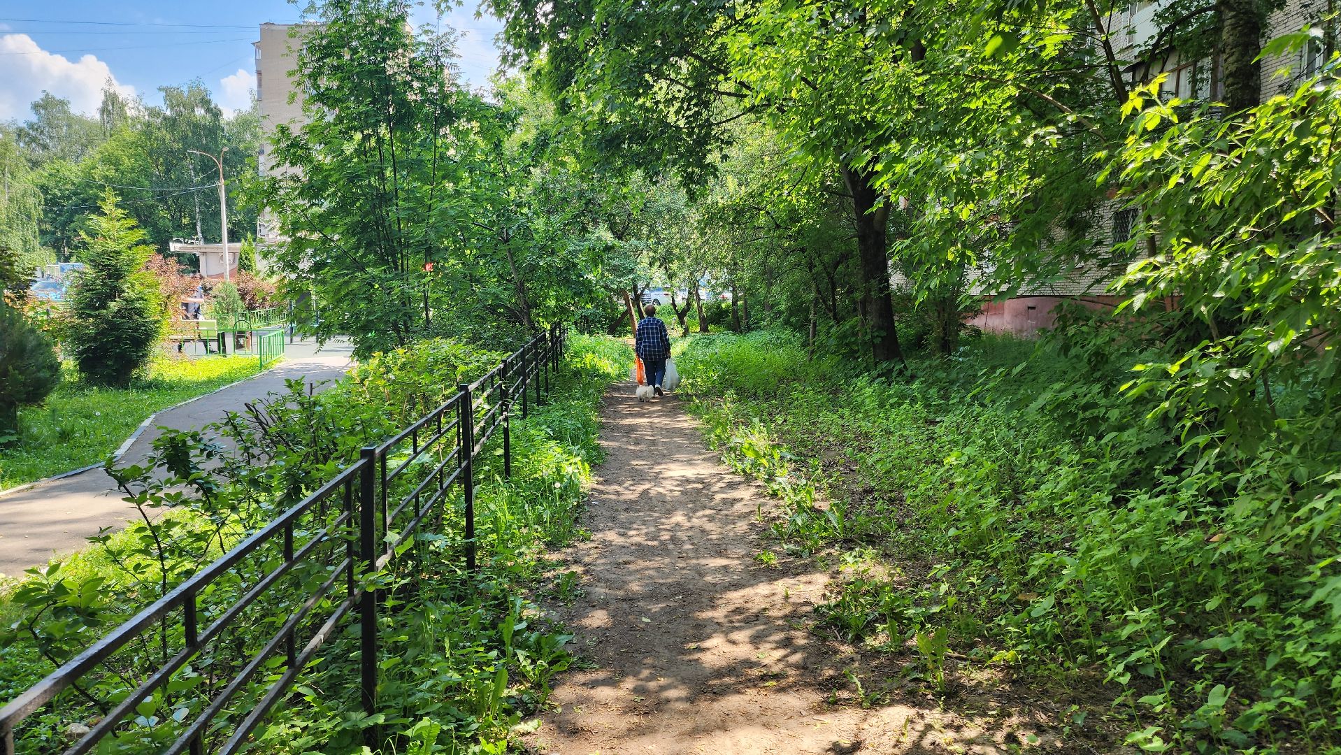 Выездная администрация, Подольск,Тротуары, обращение жителей,