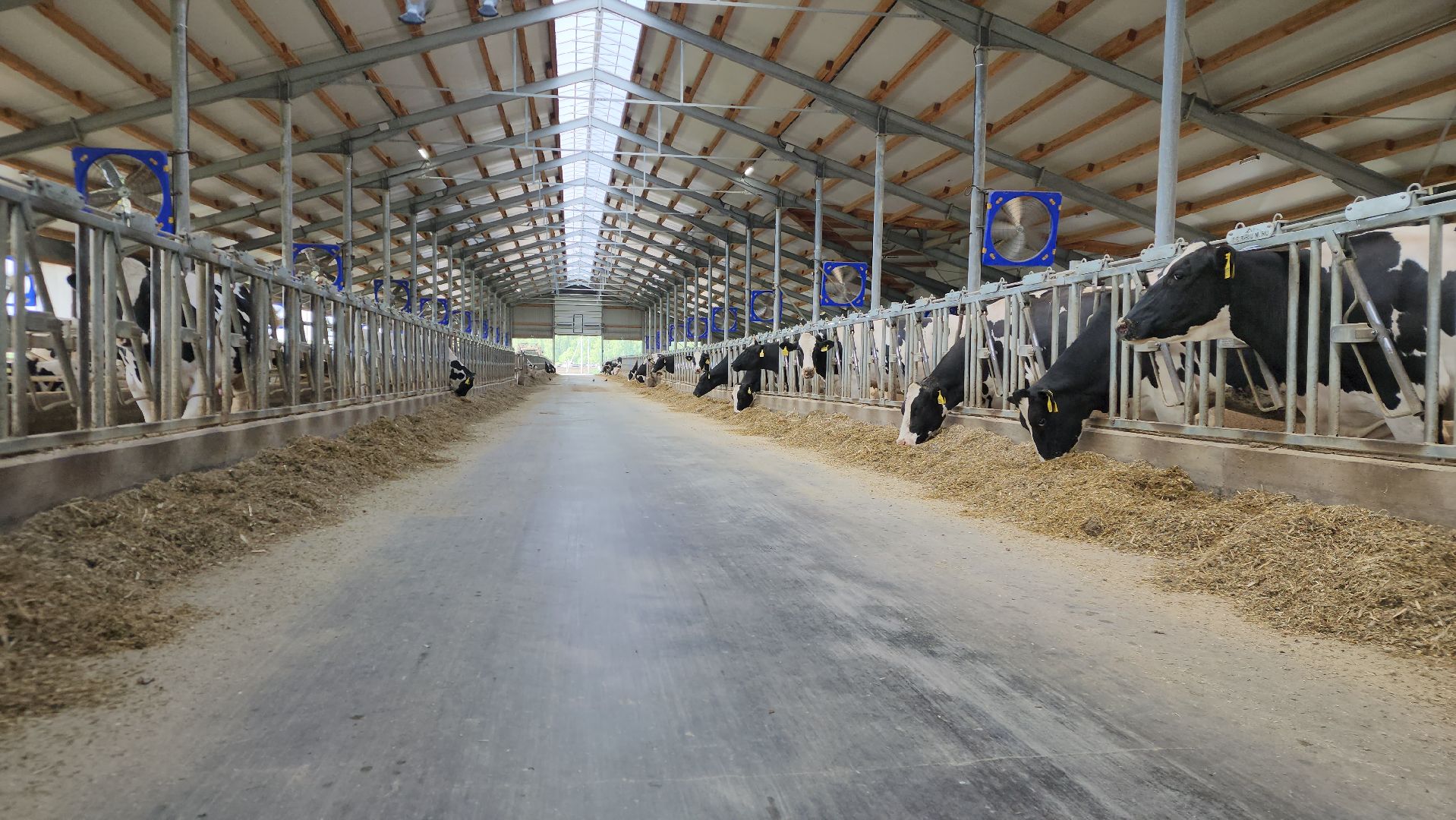 ступино, сельское хозяйство, весенний сев,