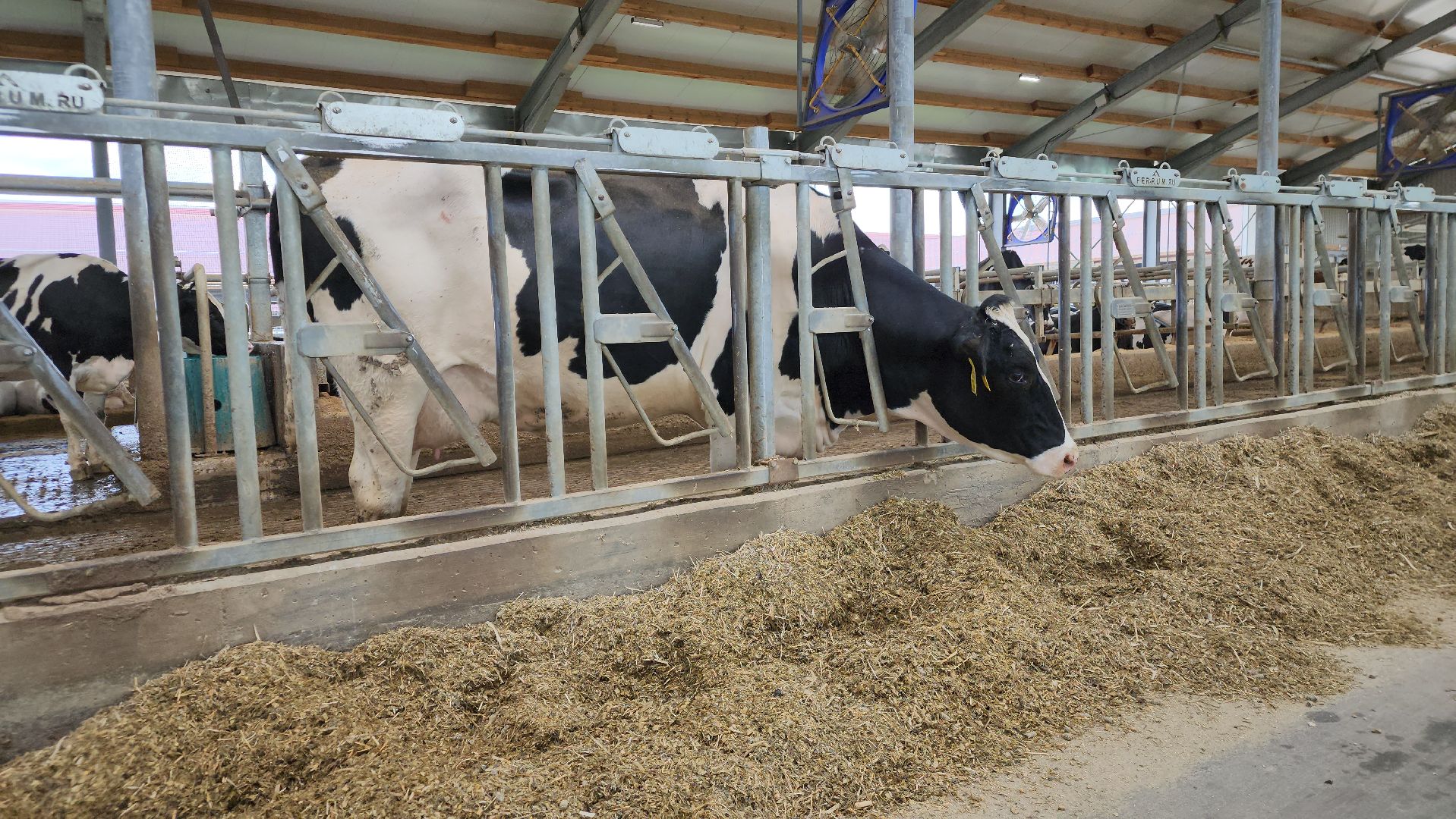 ступино, сельское хозяйство, весенний сев,