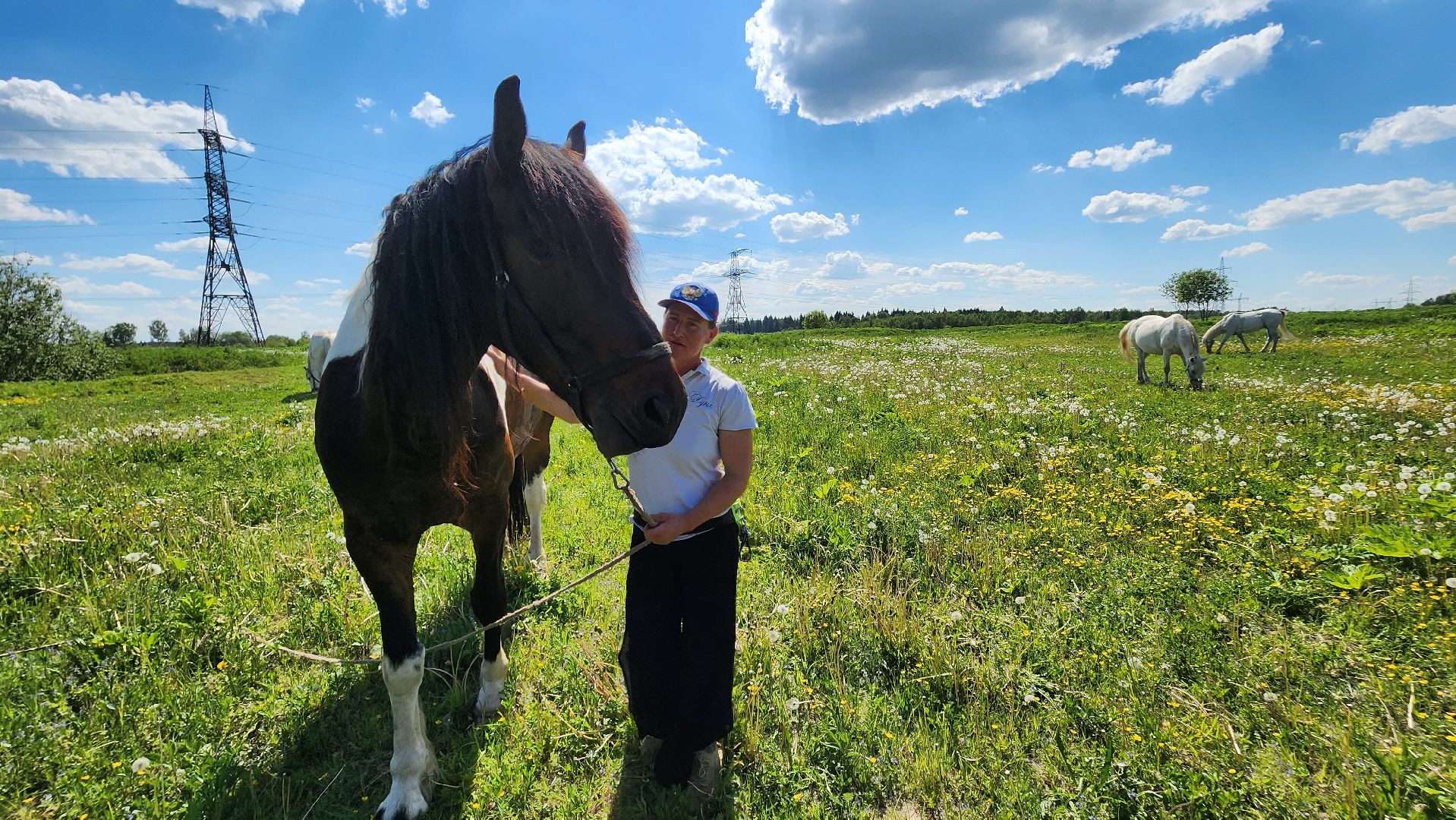 Туризм, отдых, лошади, сельское хозяйство,