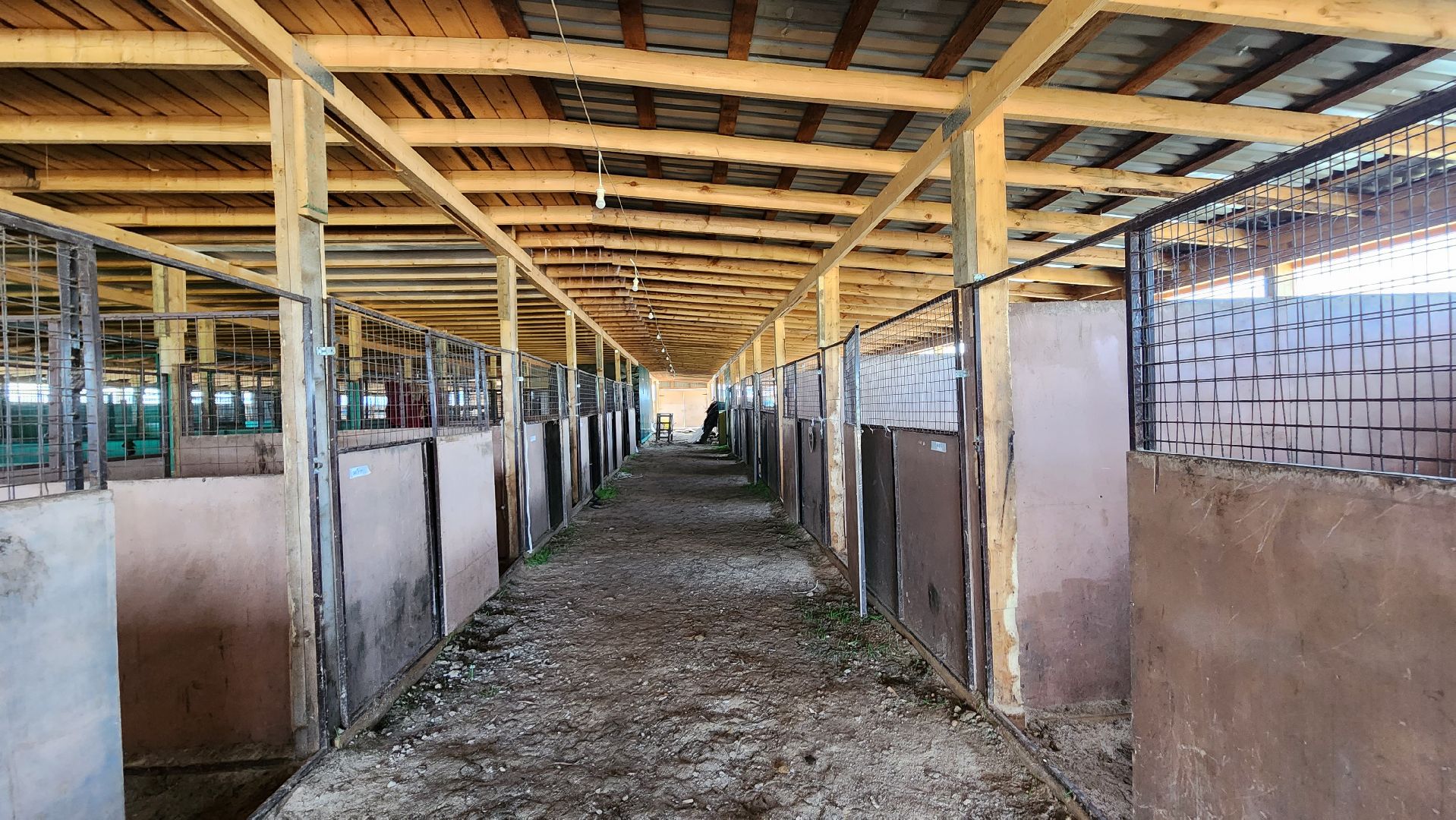 Туризм, отдых, лошади, сельское хозяйство,