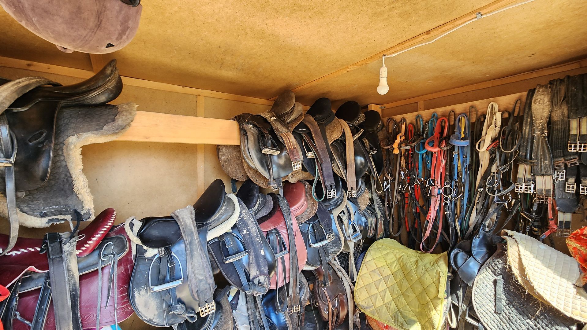 Туризм, отдых, лошади, сельское хозяйство,