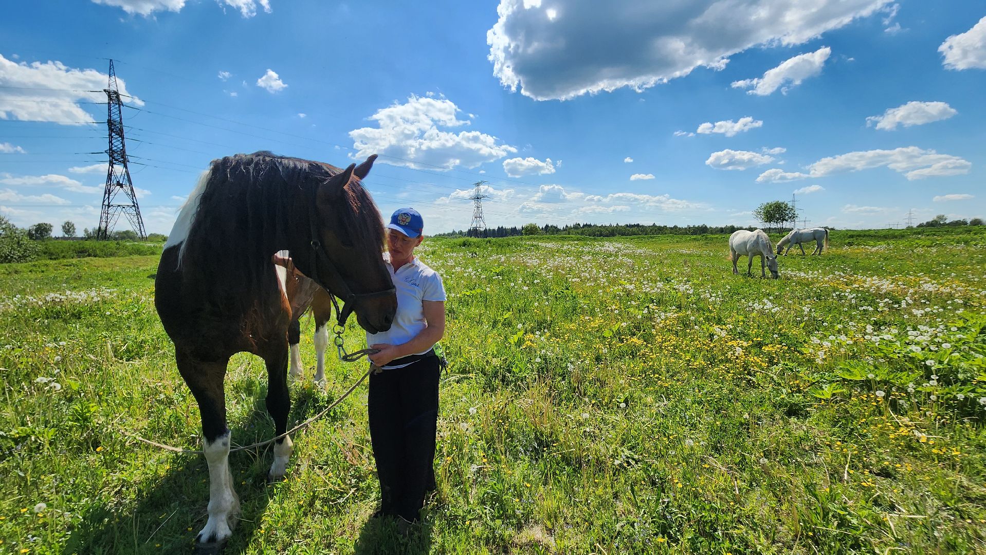 Туризм, отдых, лошади, сельское хозяйство,