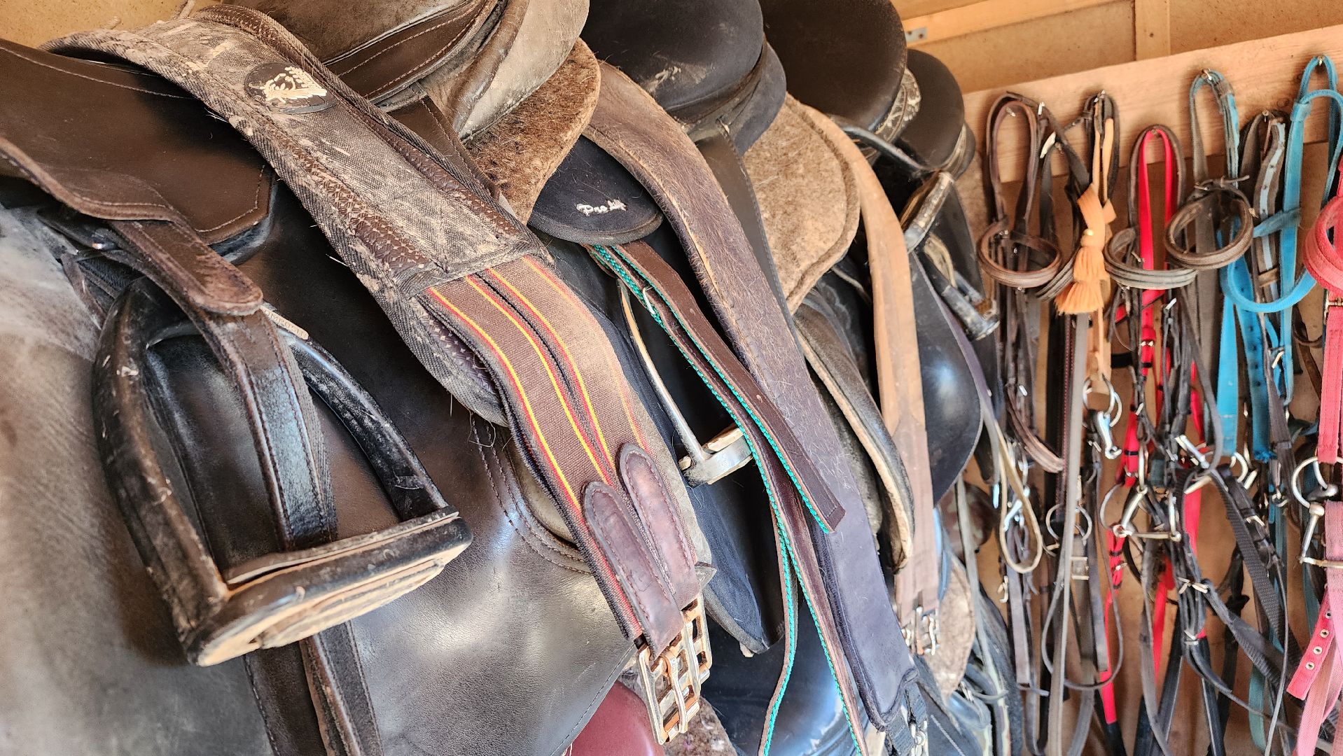 Туризм, отдых, лошади, сельское хозяйство,