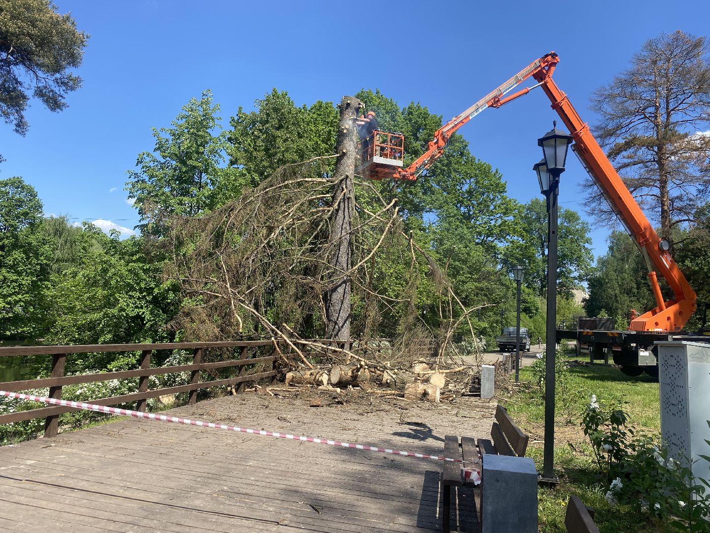 благоустройство власиха, жук короед-типограф, пляжная зона Власихи, пляж во Власихе, безопасное лето, безопасный отдых,