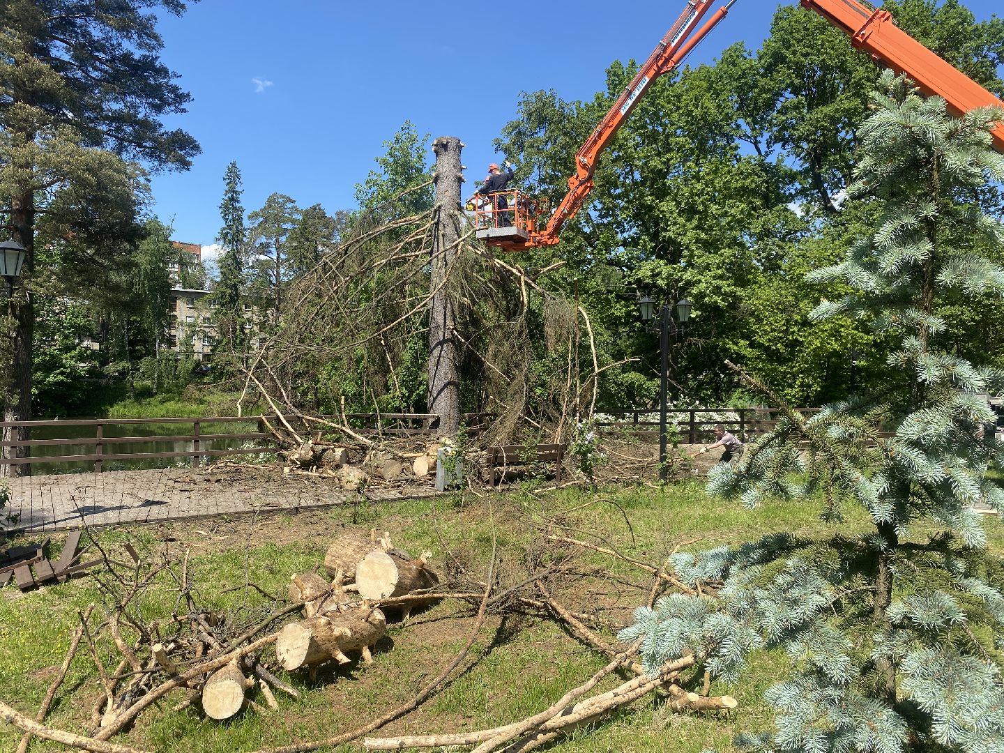 благоустройство власиха, жук короед-типограф, пляжная зона Власихи, пляж во Власихе, безопасное лето, безопасный отдых,