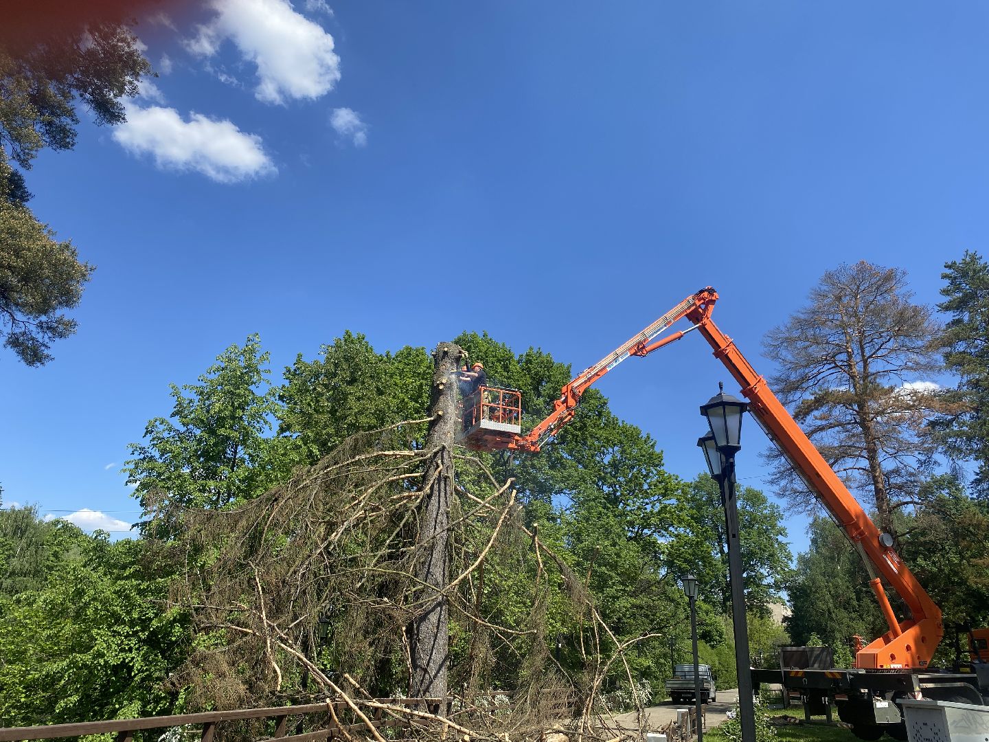 благоустройство власиха, жук короед-типограф, пляжная зона Власихи, пляж во Власихе, безопасное лето, безопасный отдых,