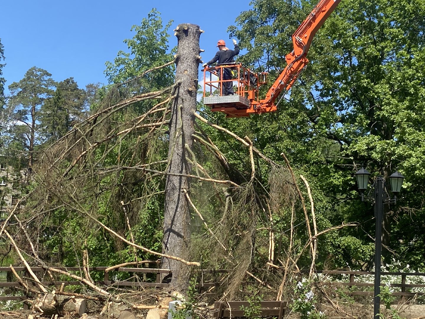 благоустройство власиха, жук короед-типограф, пляжная зона Власихи, пляж во Власихе, безопасное лето, безопасный отдых,